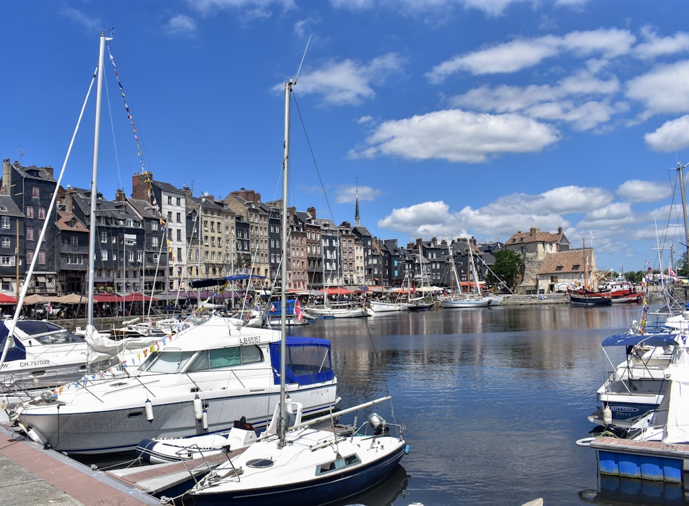 a group of boats sit in a harbor