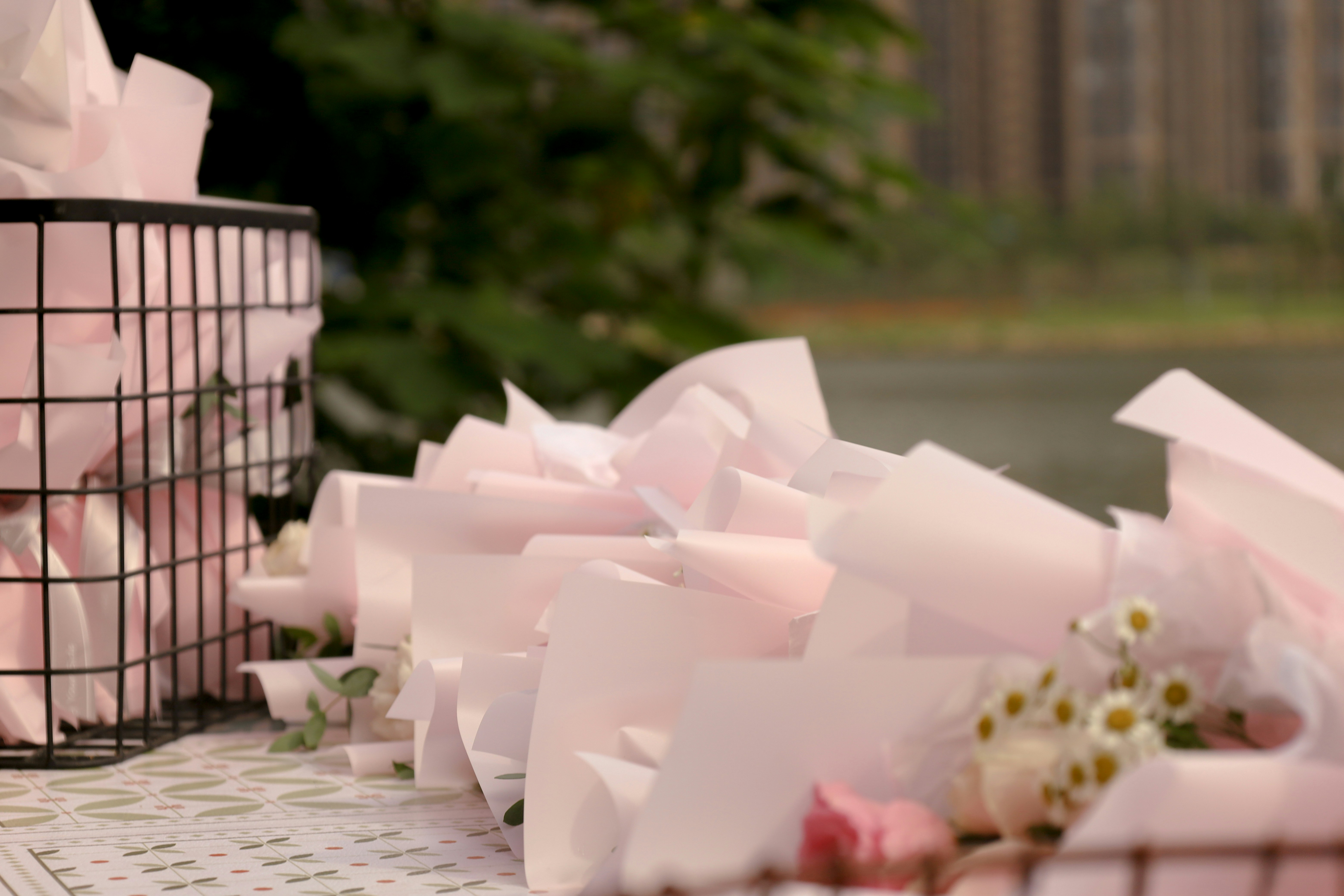 Photo by spencestafford