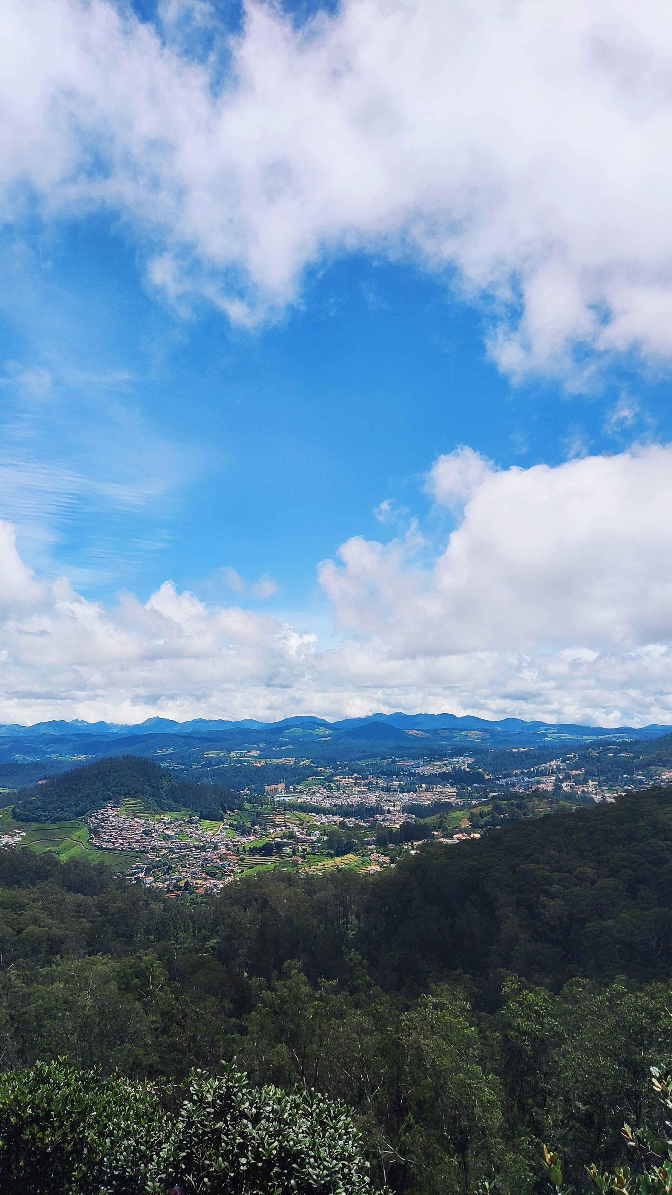 Photo by opacaro_phile