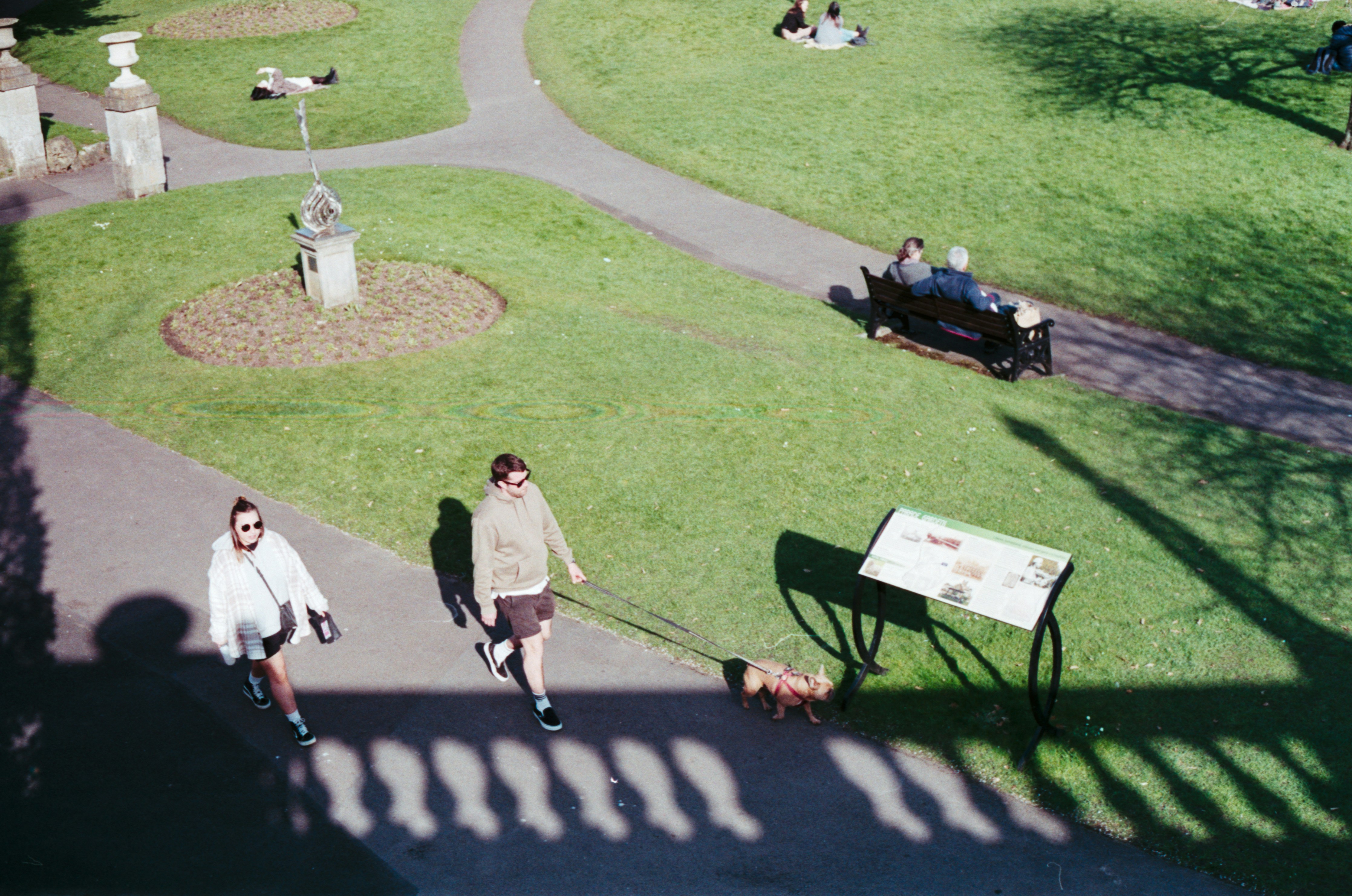 people walking on a path