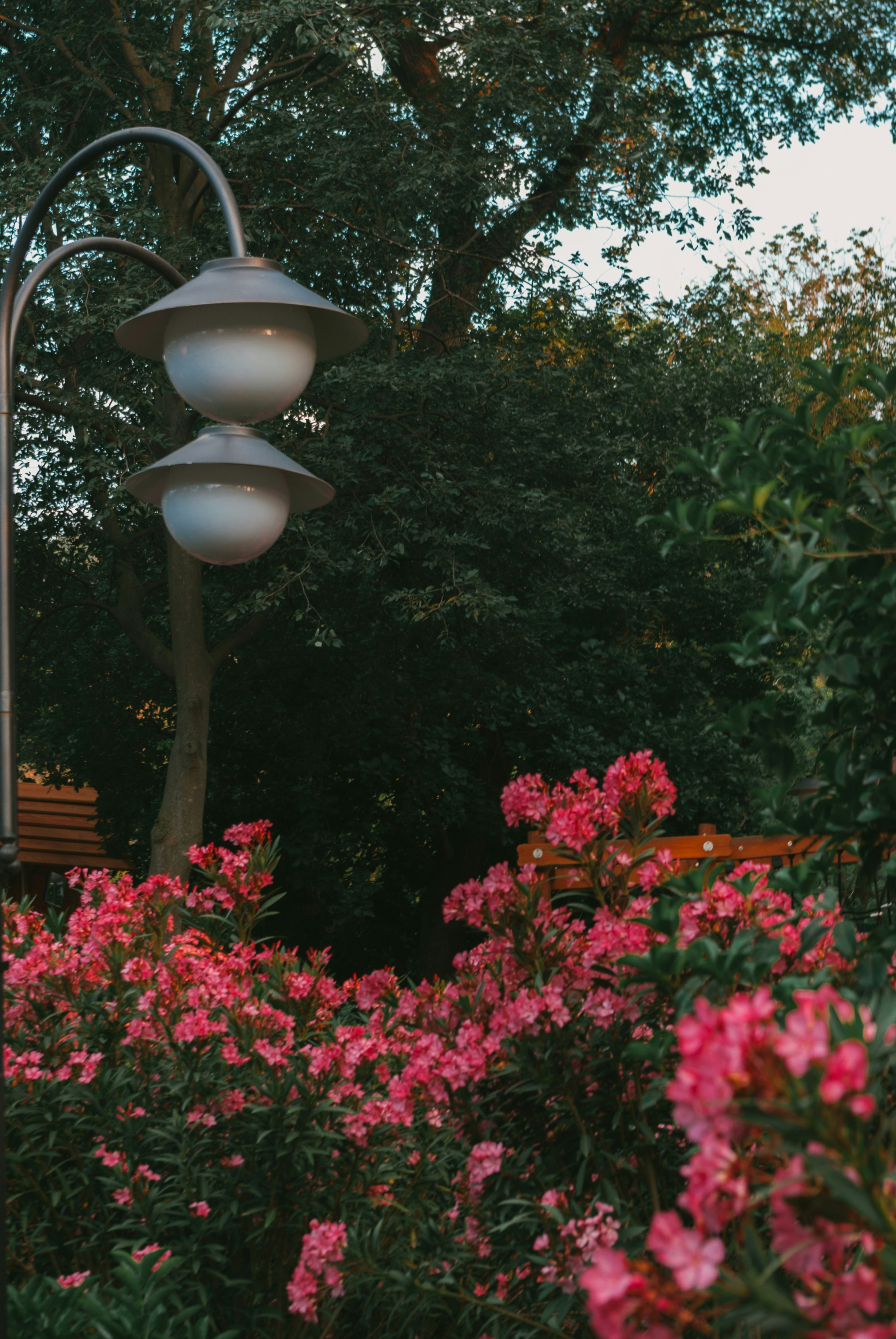 Photo by moonmoons_days