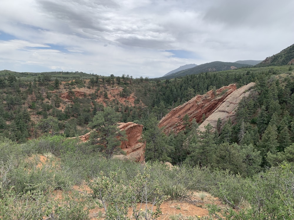 Un paisaje con árboles y colinas