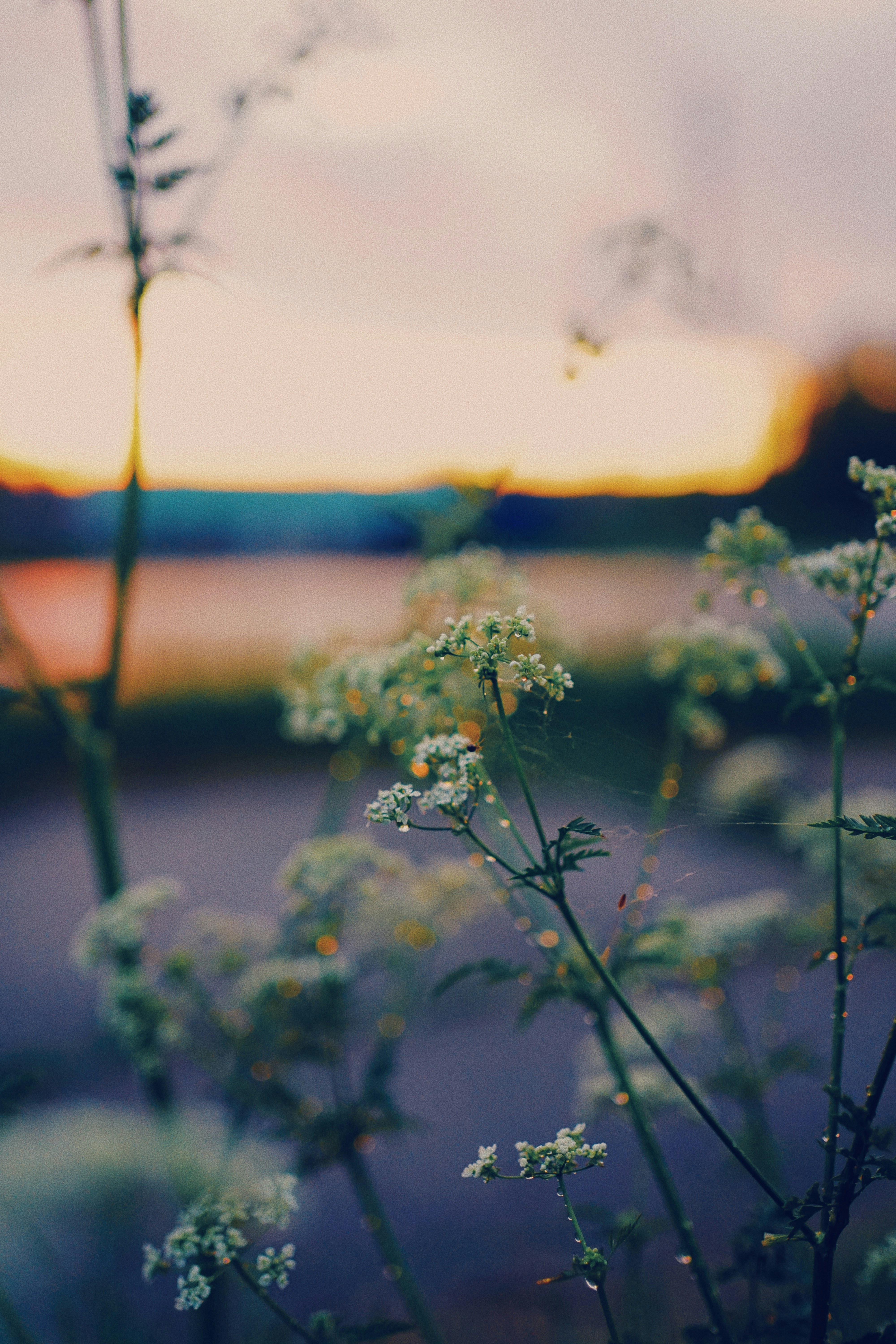 Photo by shklyaevmax