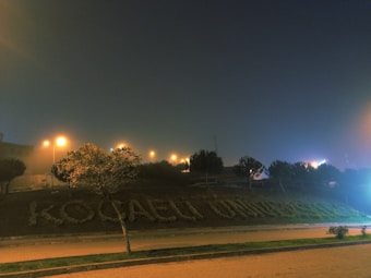 A misty evening scene featuring trees and bushes arranged to spell out 'KOCAELI UNIVERSITY' on a grassy slope. Streetlights cast a warm yellow glow, creating a moody ambiance against the dark sky. The surroundings appear quiet and serene, with a paved path or road in the foreground.