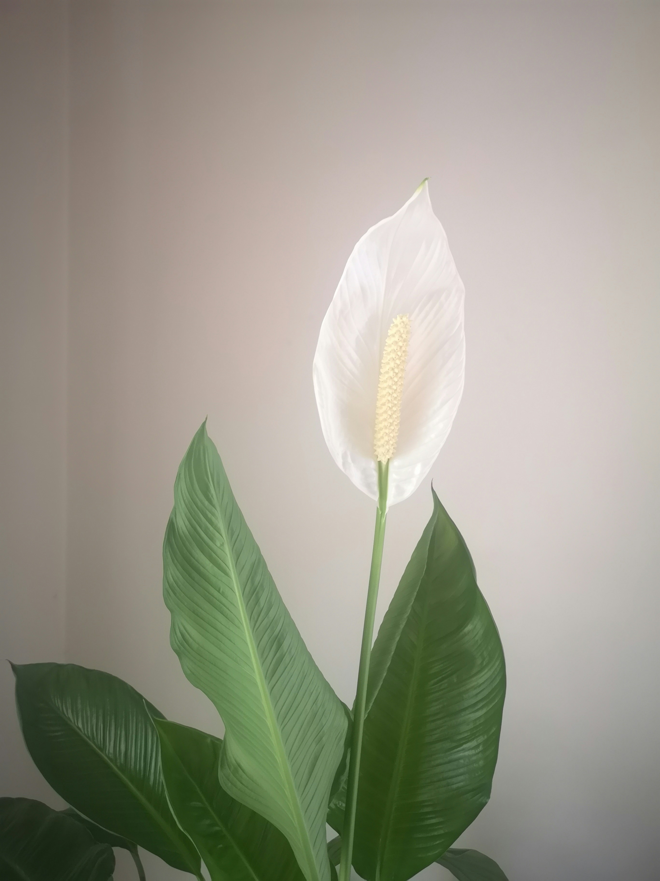 Photo by dilettadavolio