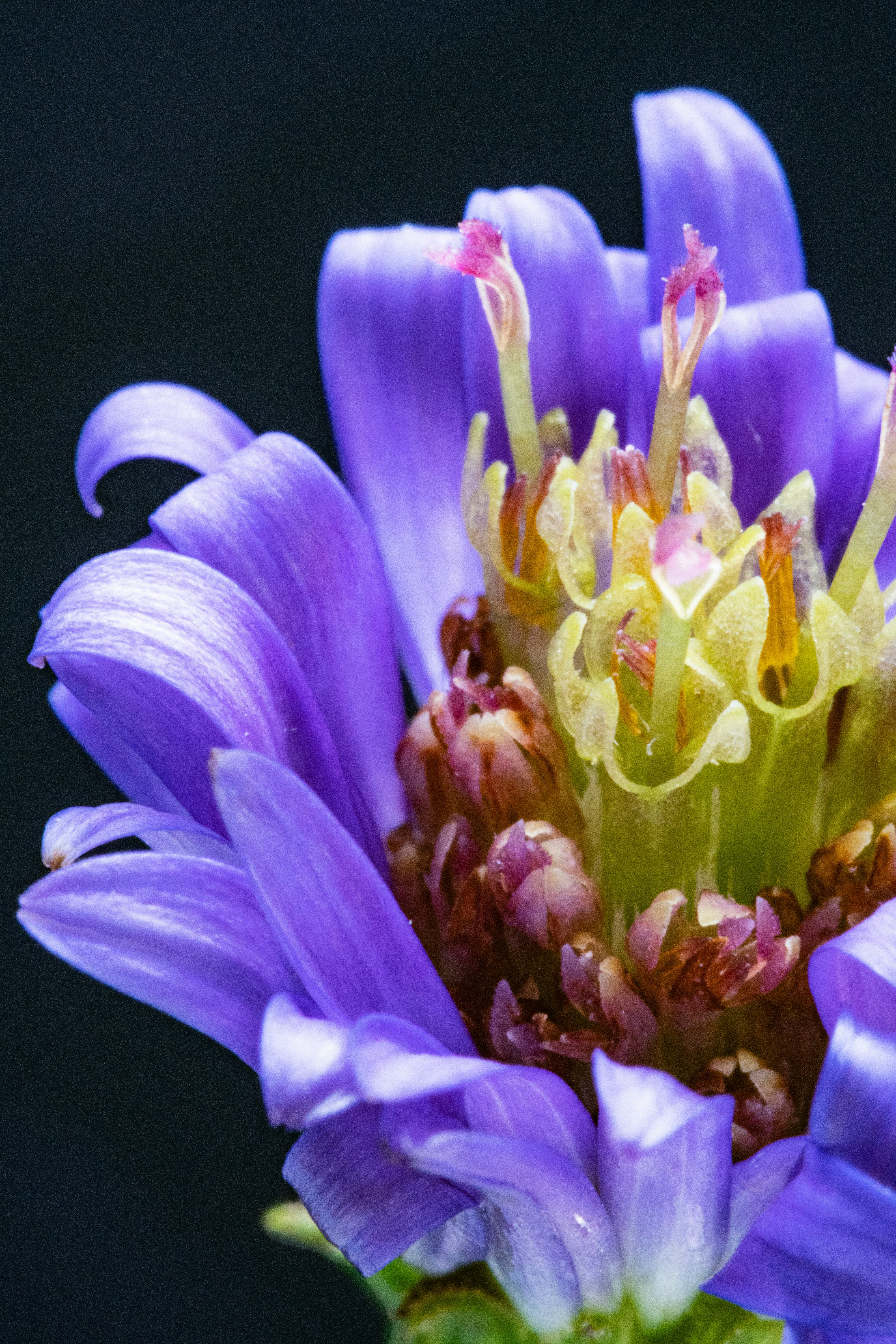 Photo by marcoangelo