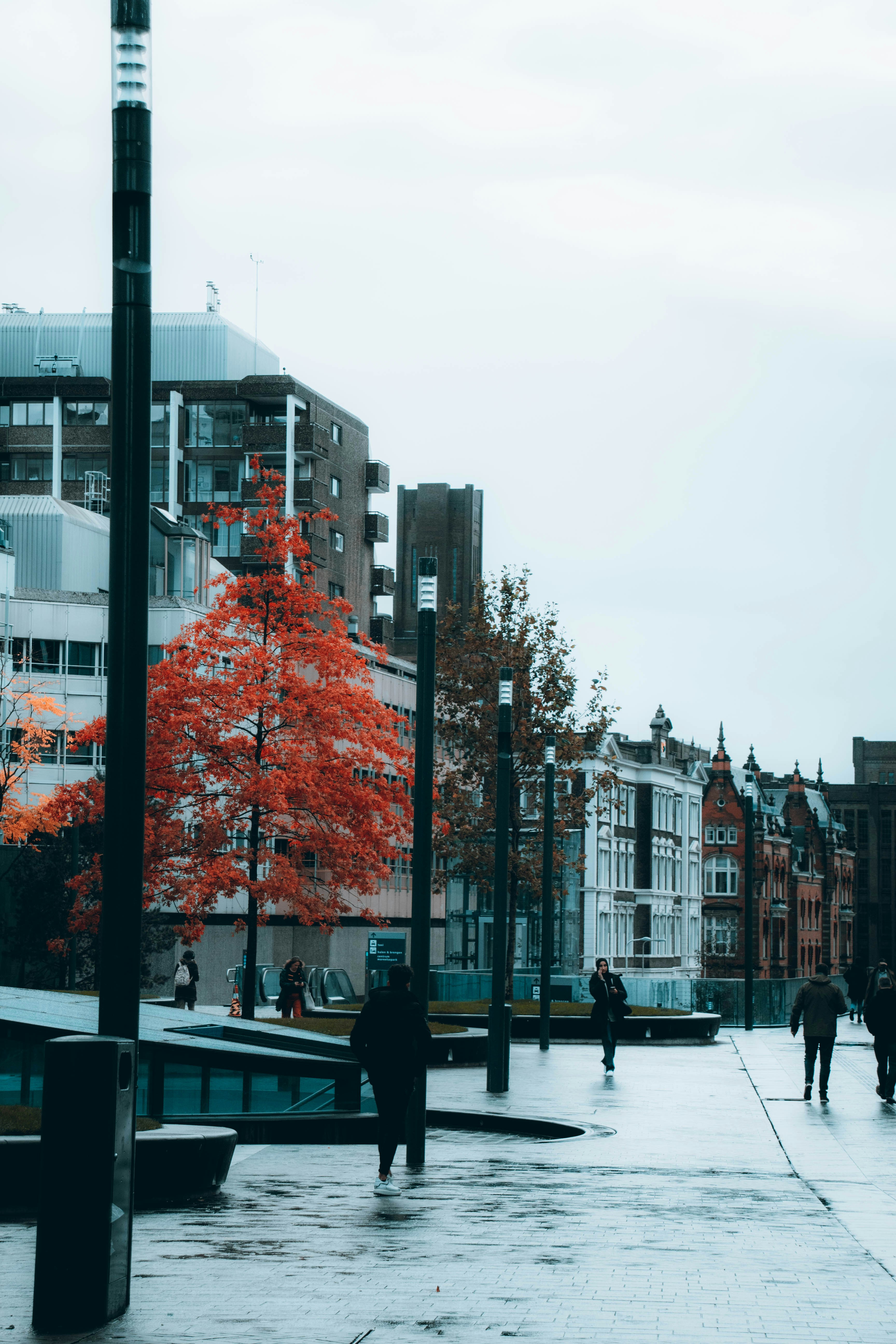 Photo by ninahheikamp