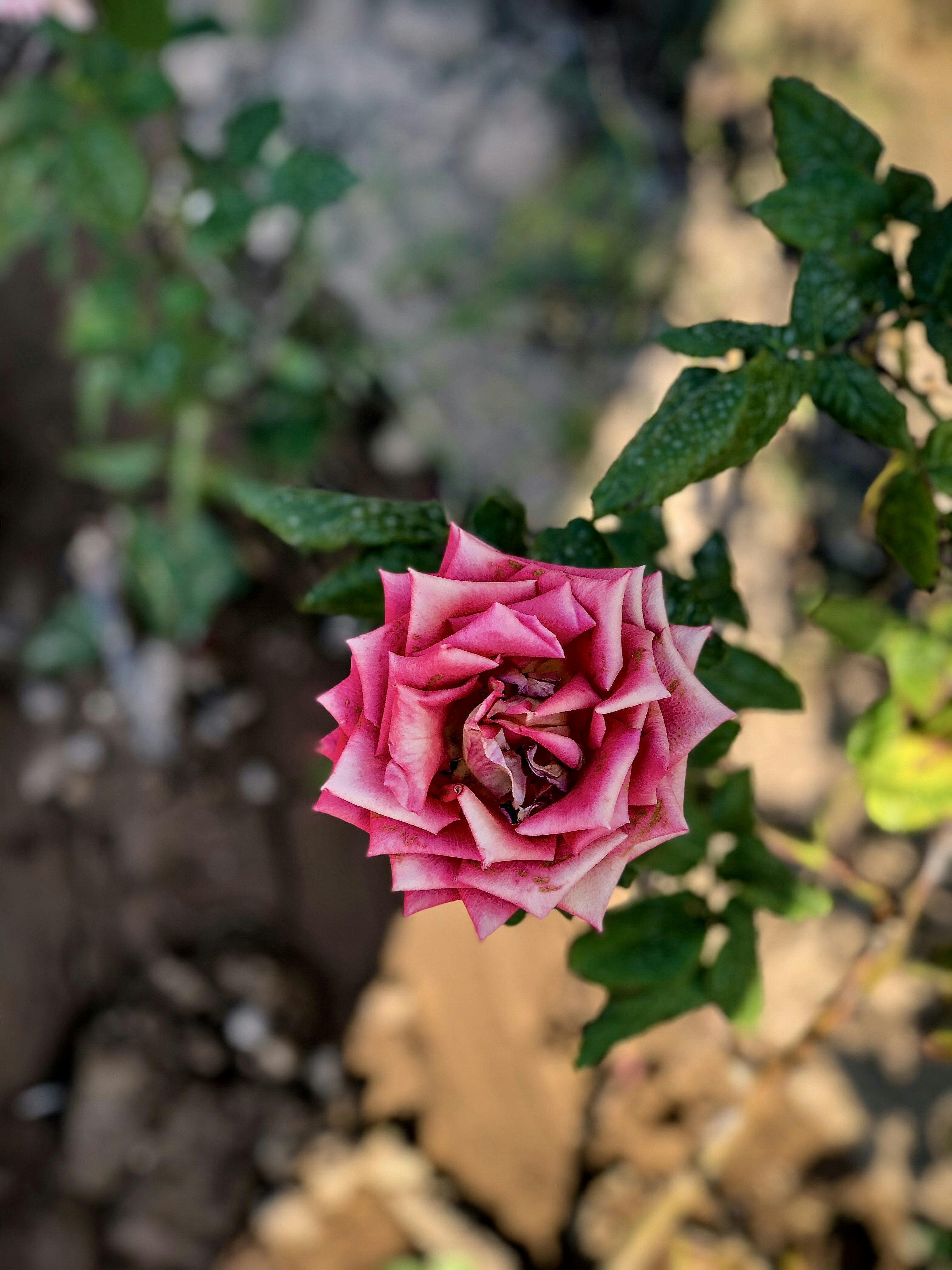 Photo by fatemeh_khodakhahjeddi