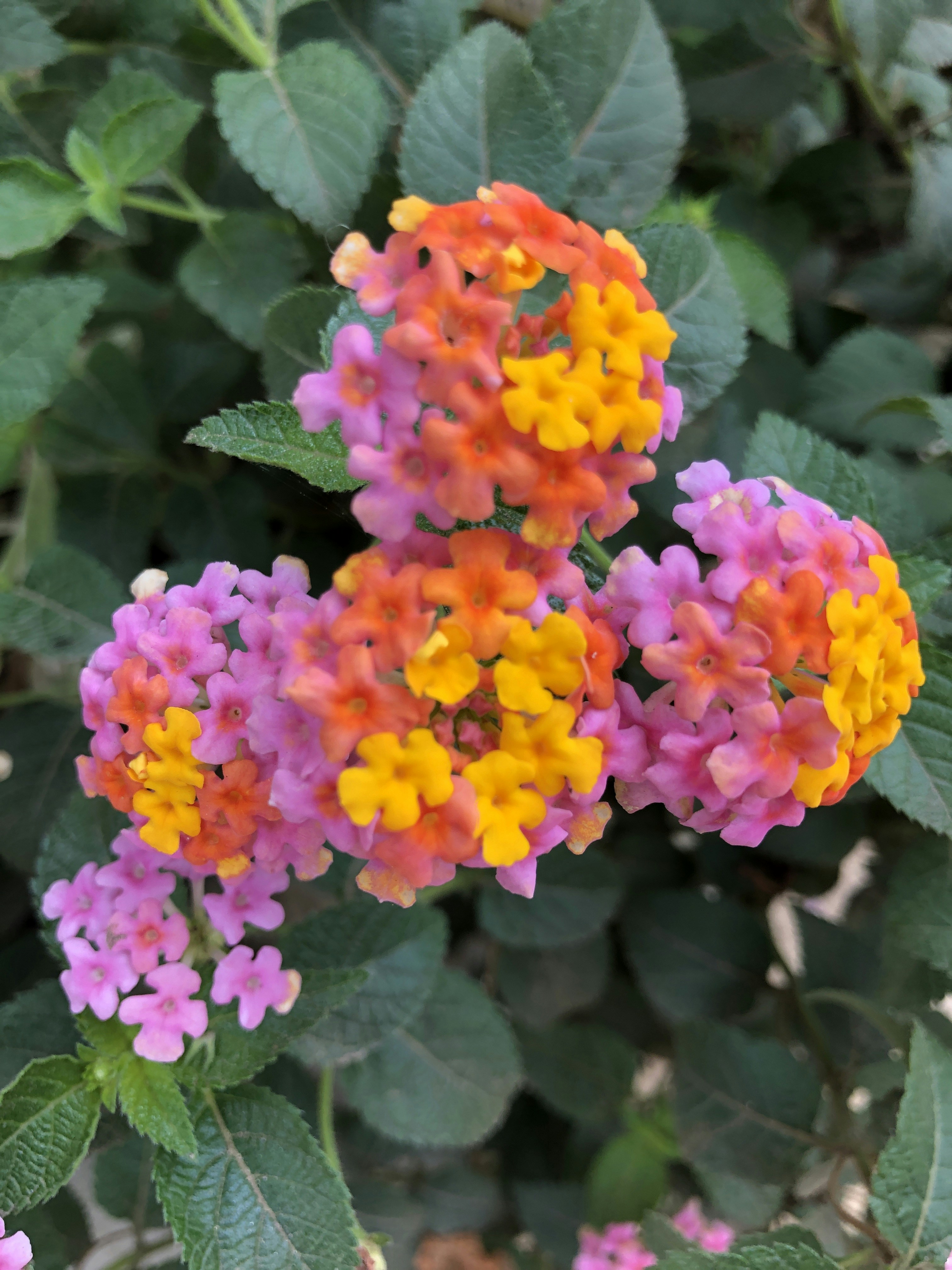 Photo by fijabioyindamola