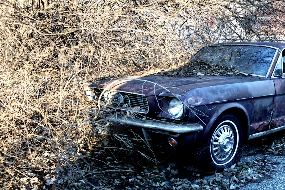 a car with its front end smashed in