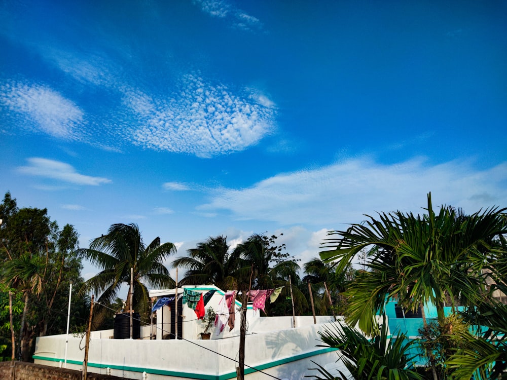 a beach with palm trees and blue sky