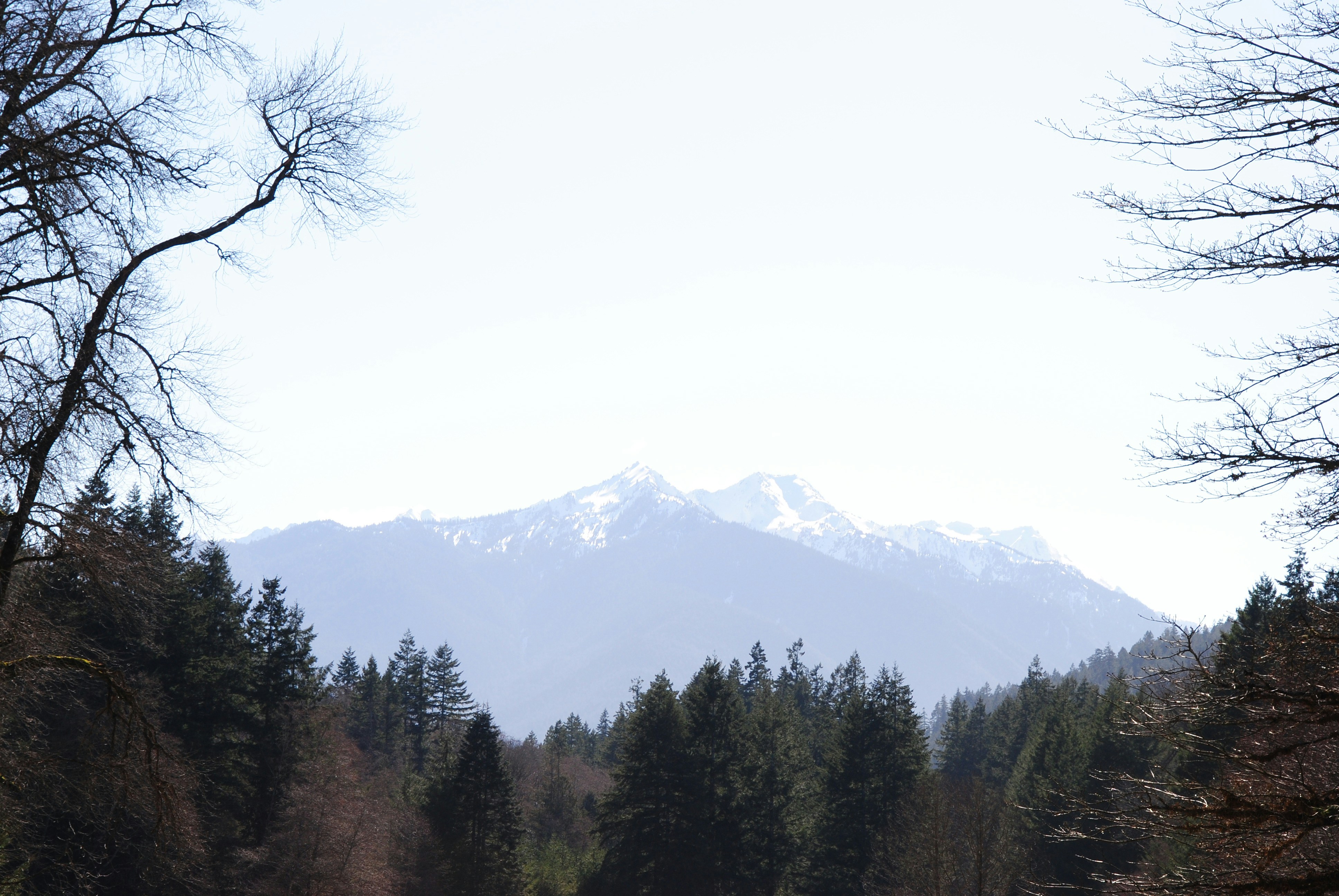 Photo by petpalaceresort1