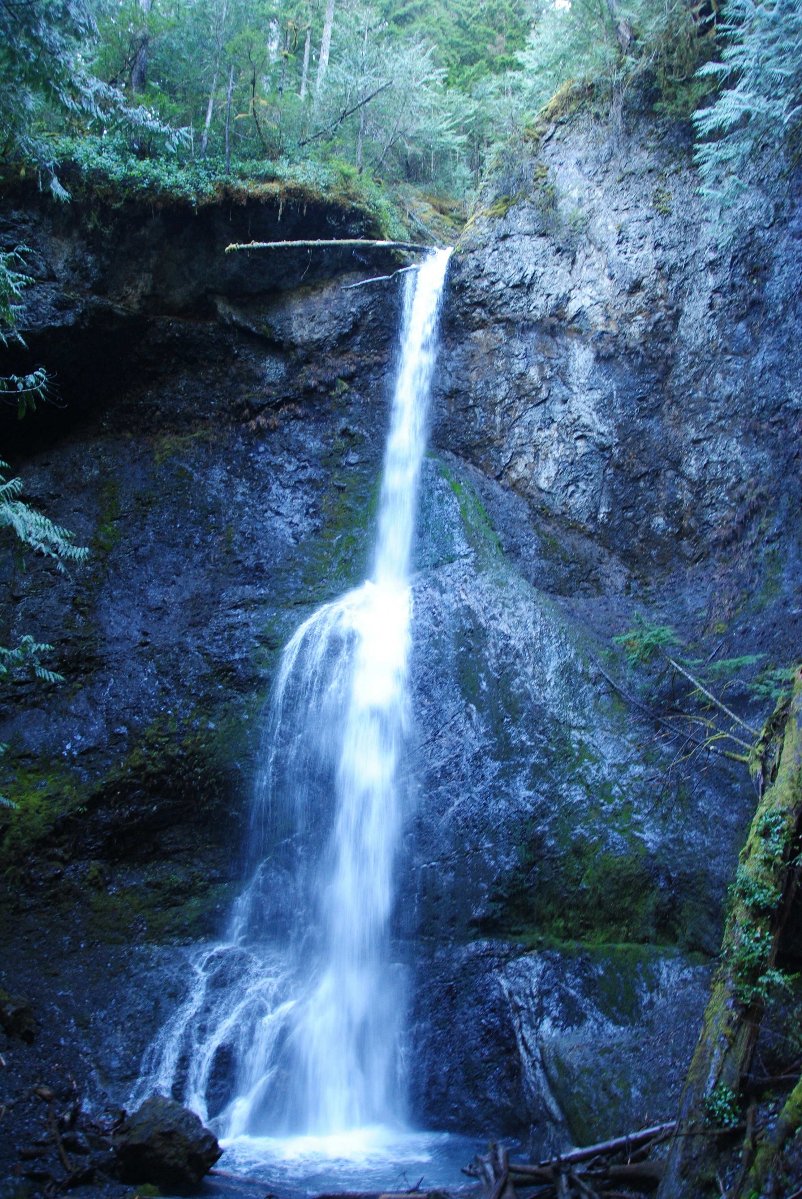 Photo by petpalaceresort1