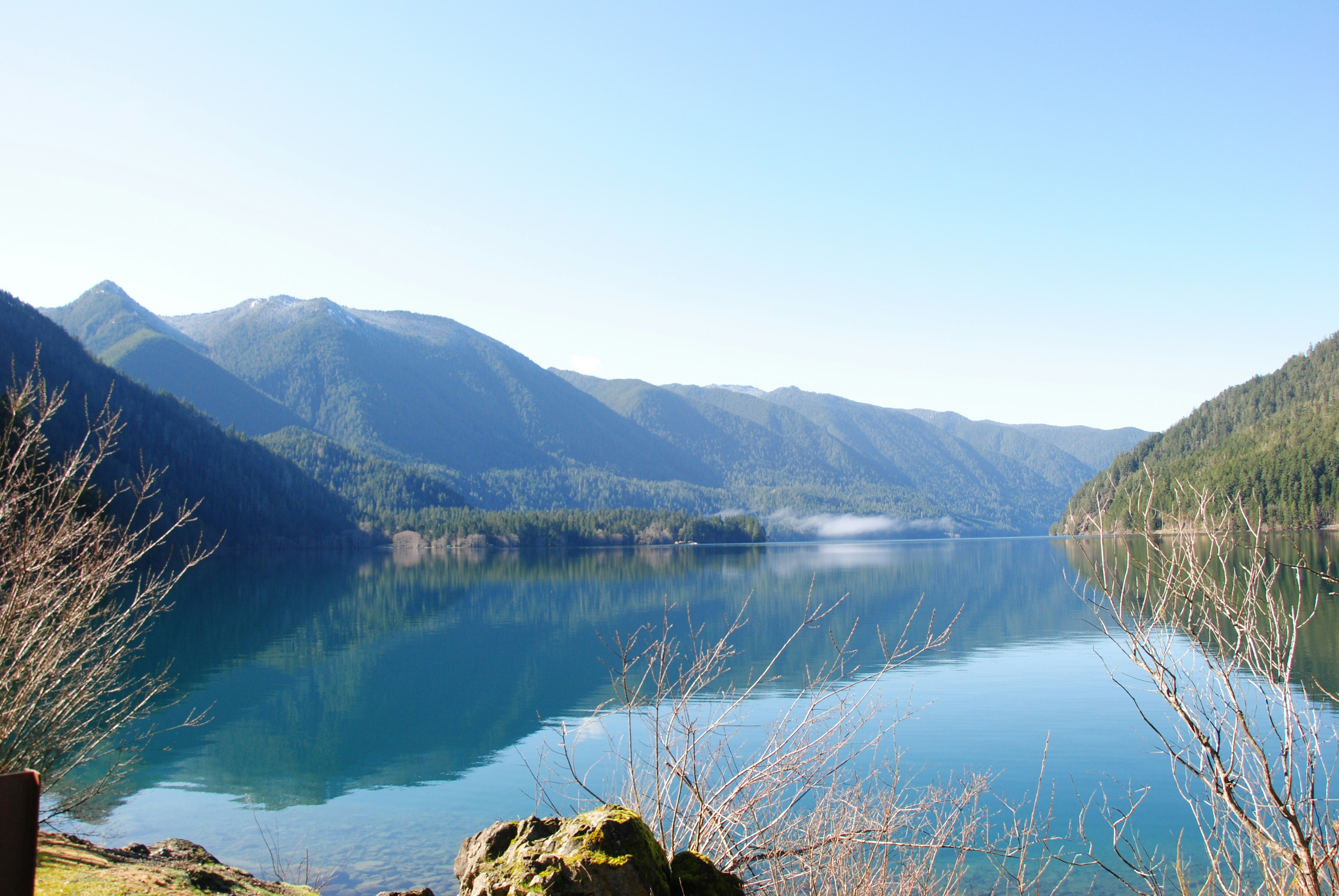 Photo by petpalaceresort1