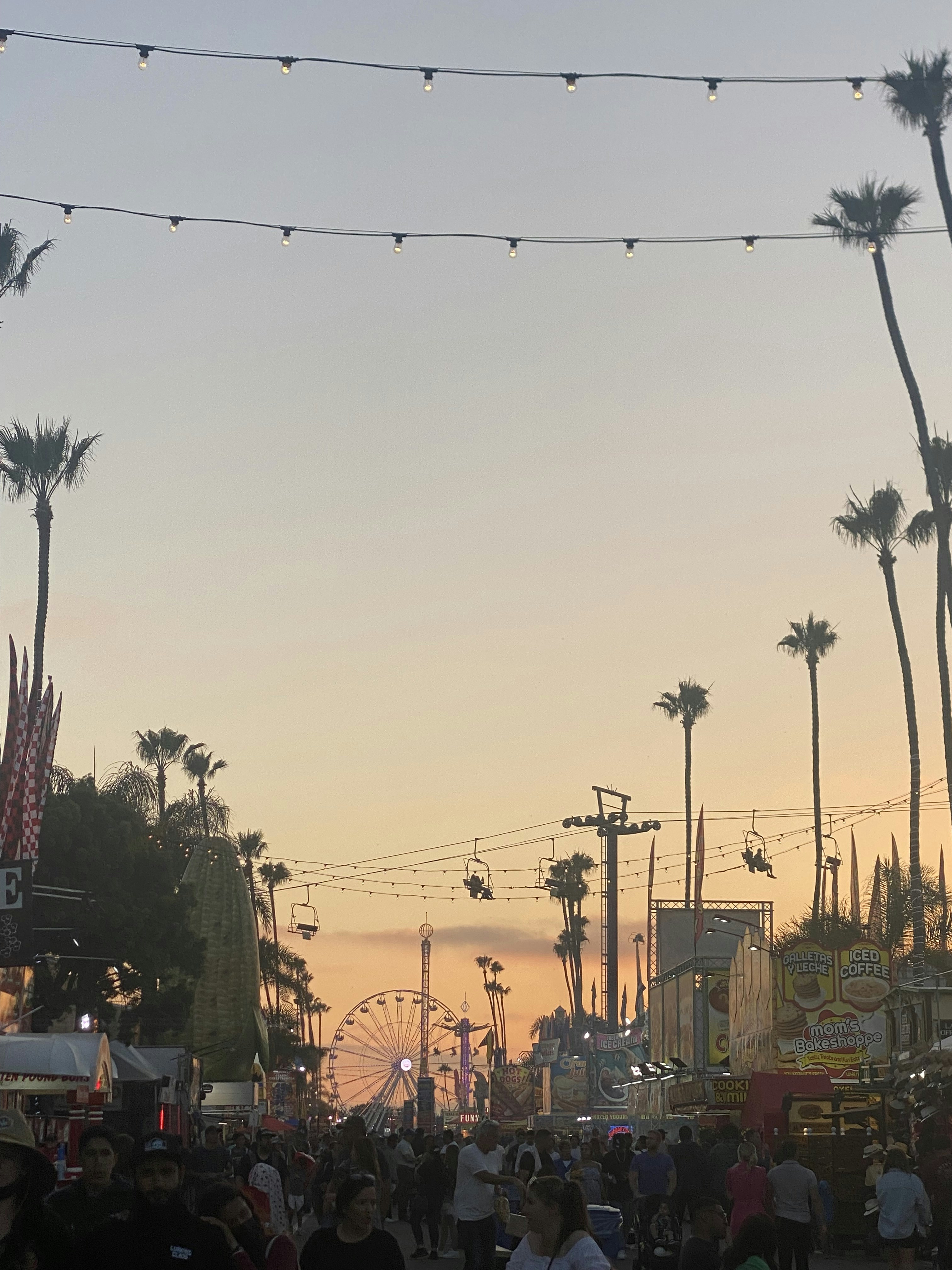 Photo by toms_photographs