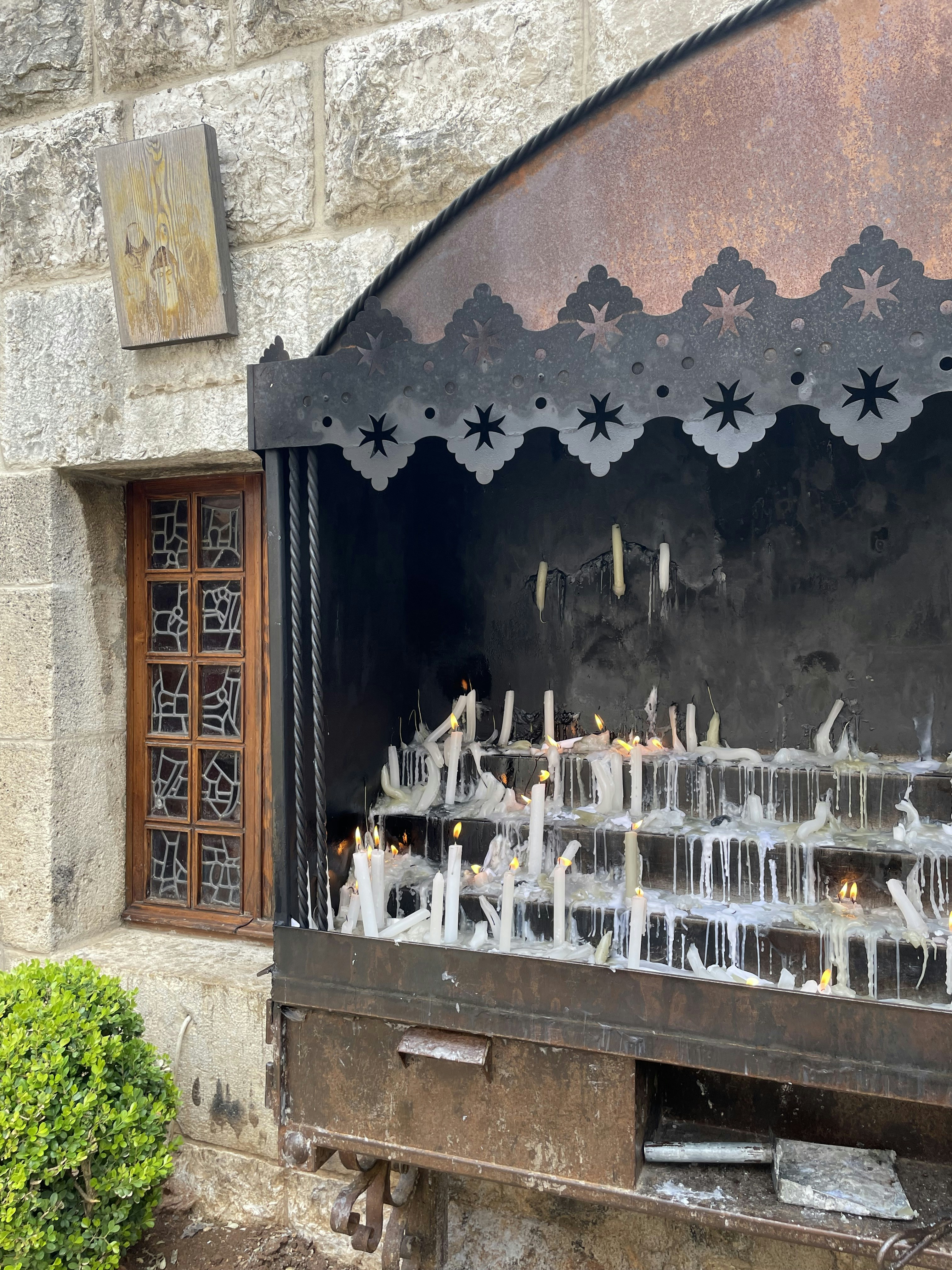 eine Wand mit einem Wandbild einer Gruppe von Tieren darauf