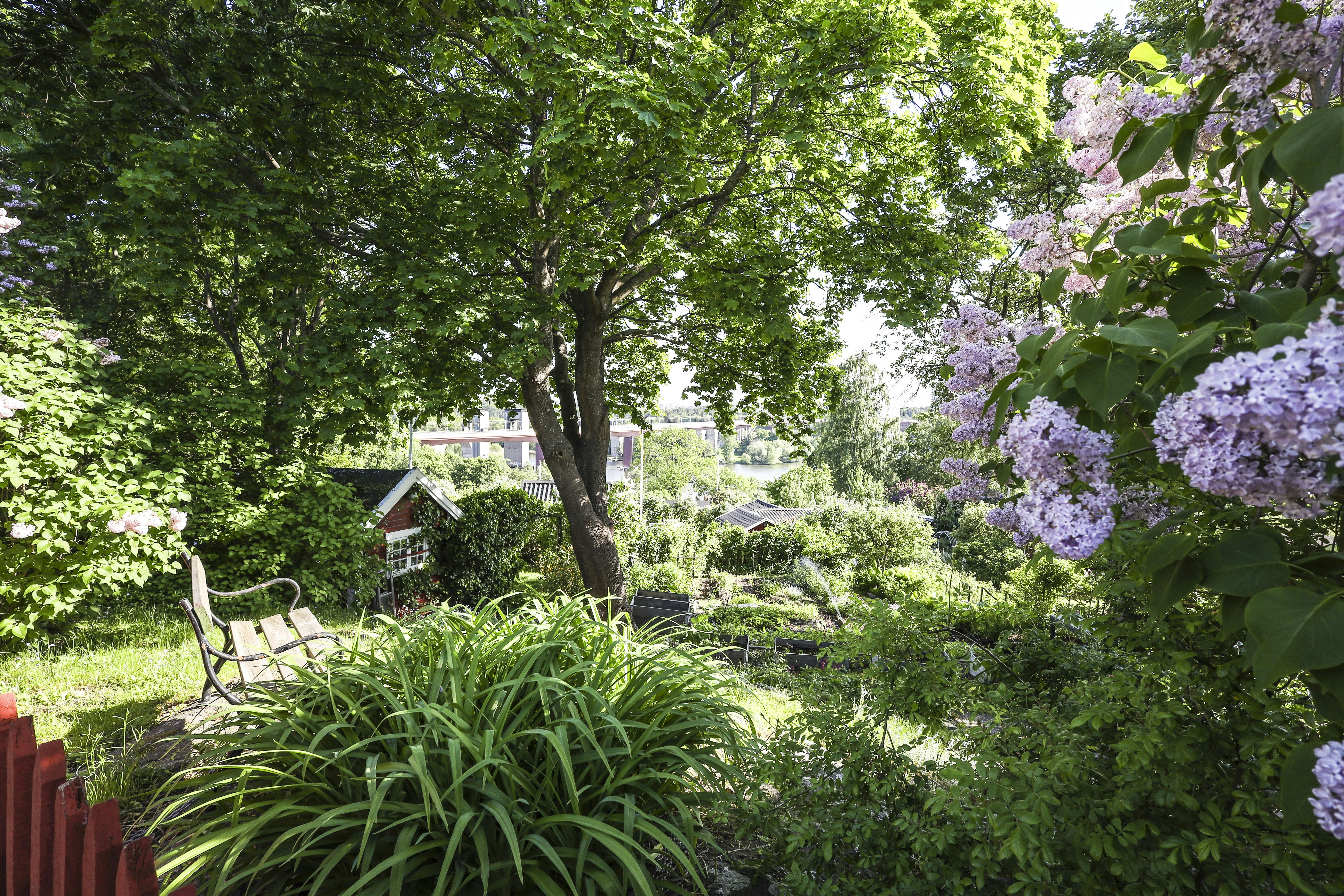 Photo by fotografstockholm