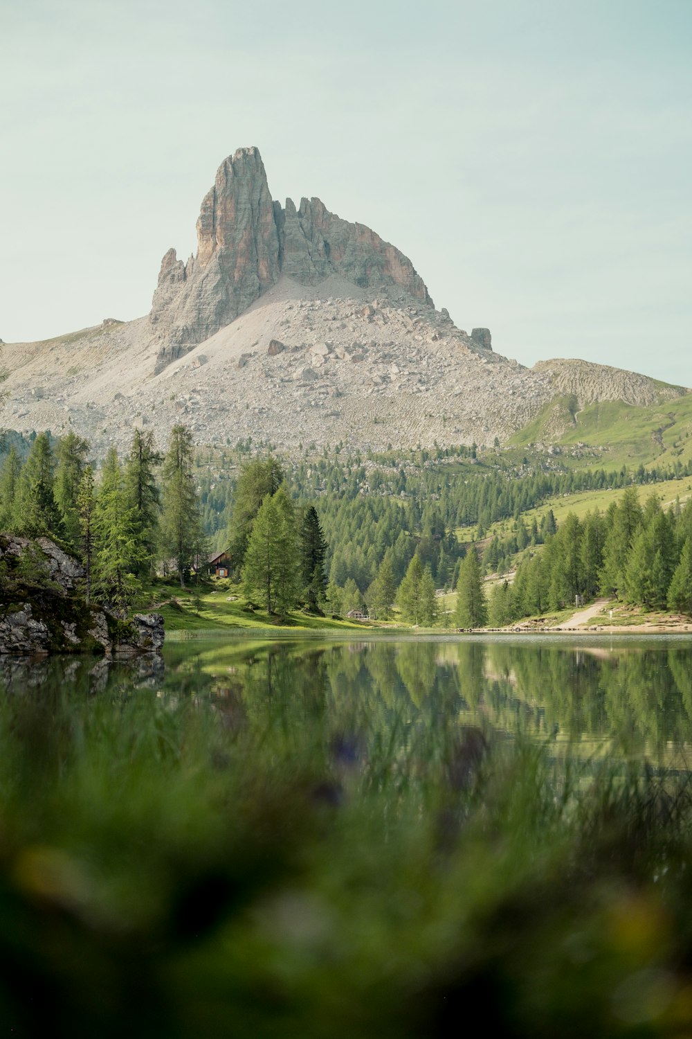 Un primo piano di uno stagno