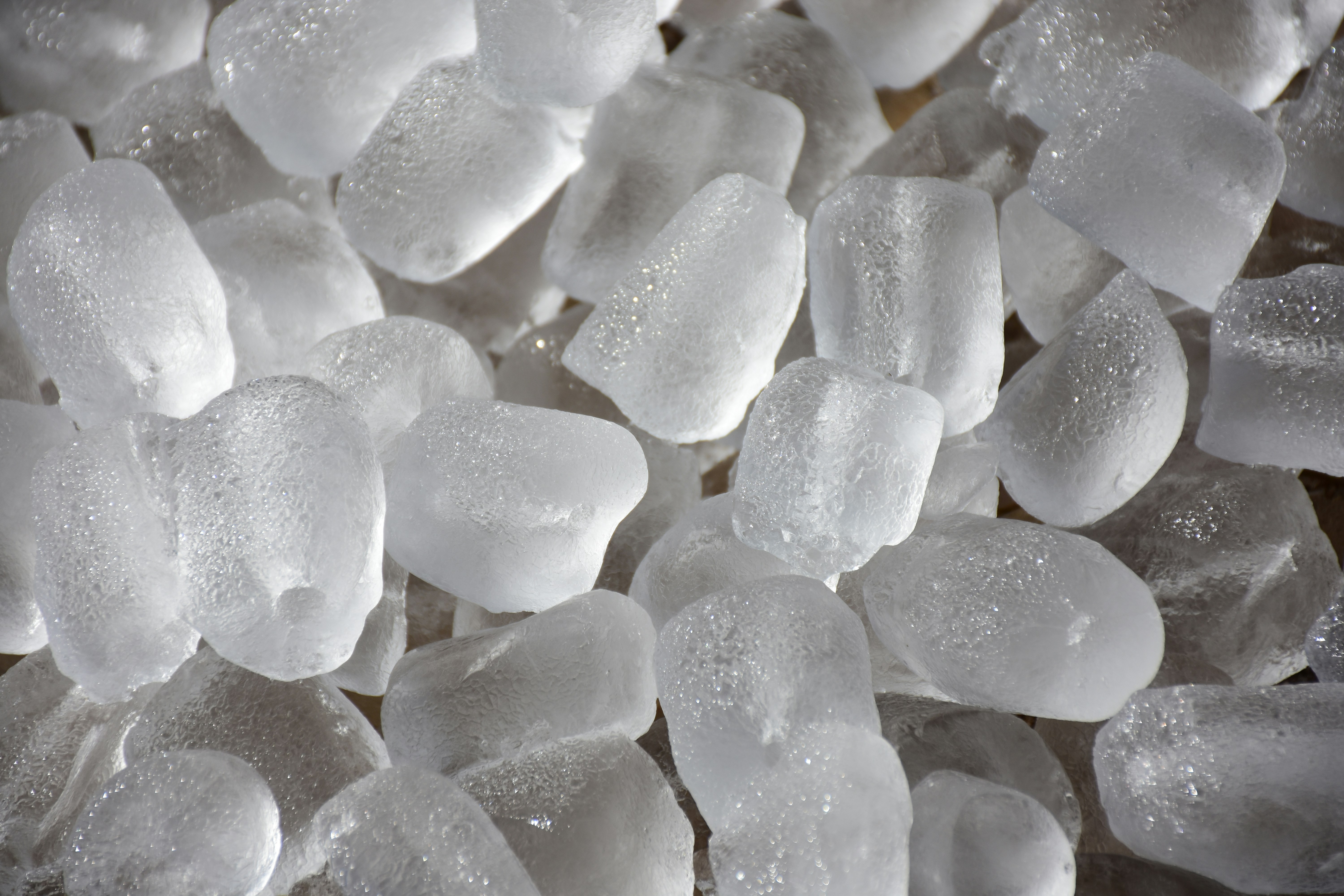 2025년 기준 인기 있는 감기 예방 영양제 브랜드