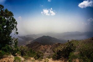 Abha
