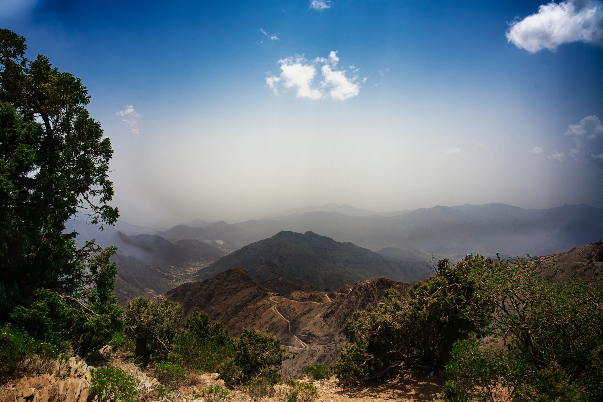 a landscape with trees and mountains
