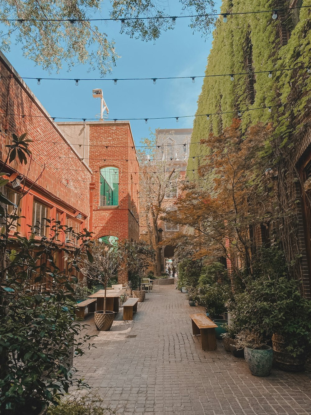 a brick path with trees and plants on either side of it