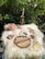 A spiritual altar is set up outdoors on a fluffy white surface with various crystals, a wooden board spelled 'ENERGIES' with wooden letters, tarot or oracle cards, a candle, and a bowl of pink Himalayan salt. Green foliage surrounds the setup, creating a serene and natural backdrop.