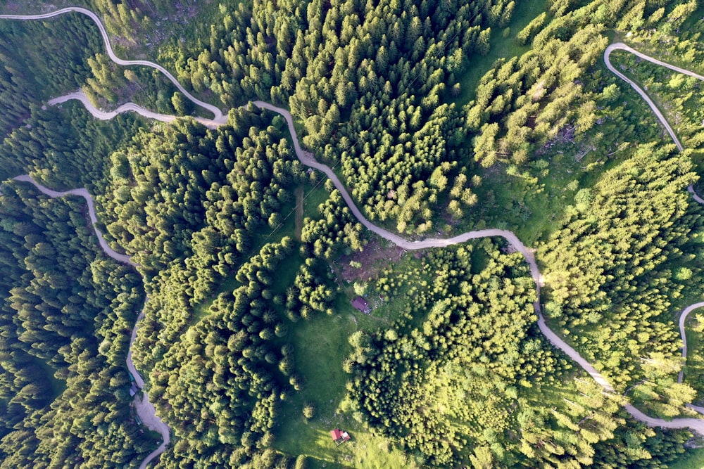 a green and brown landscape