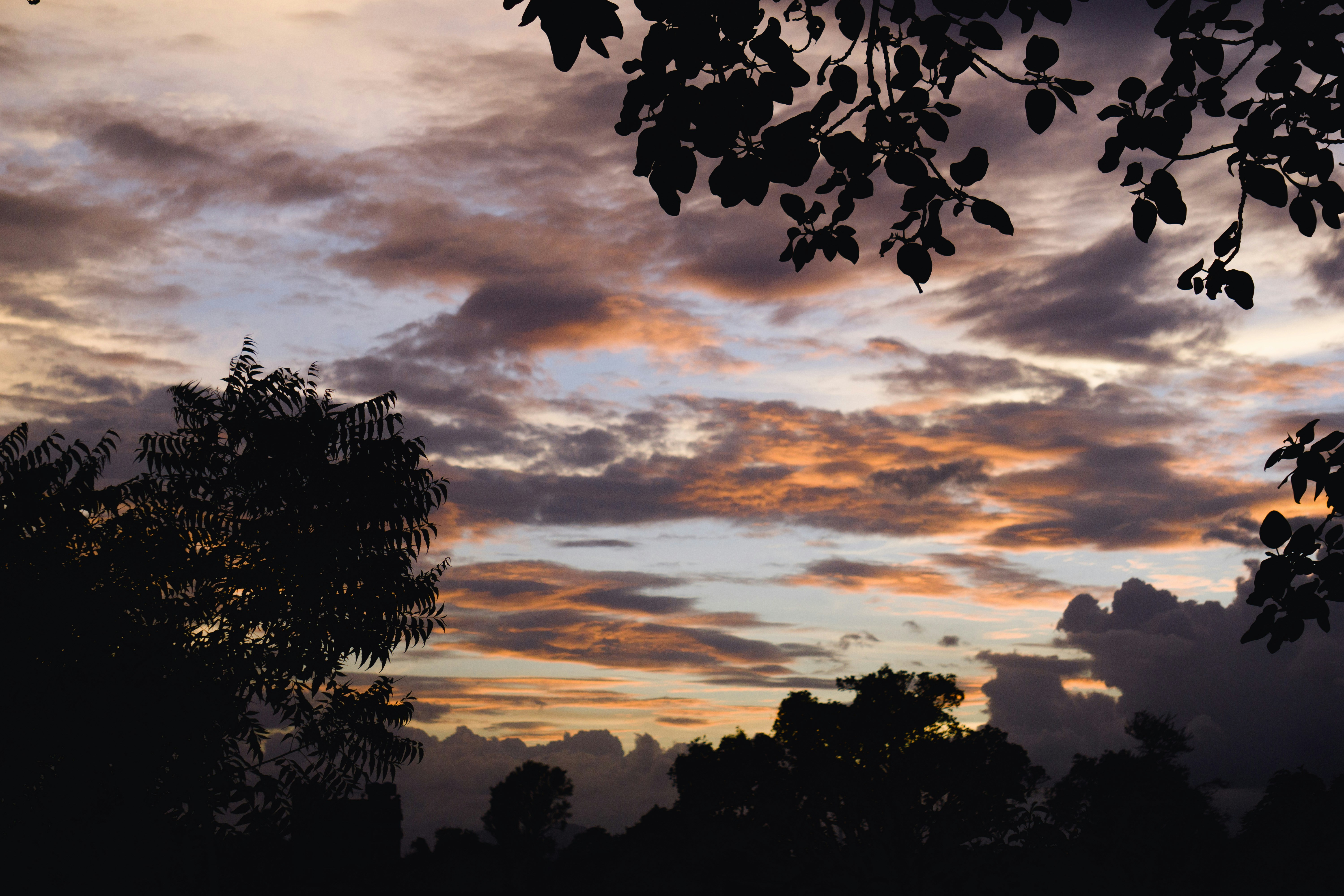 Photo by rsharma2007