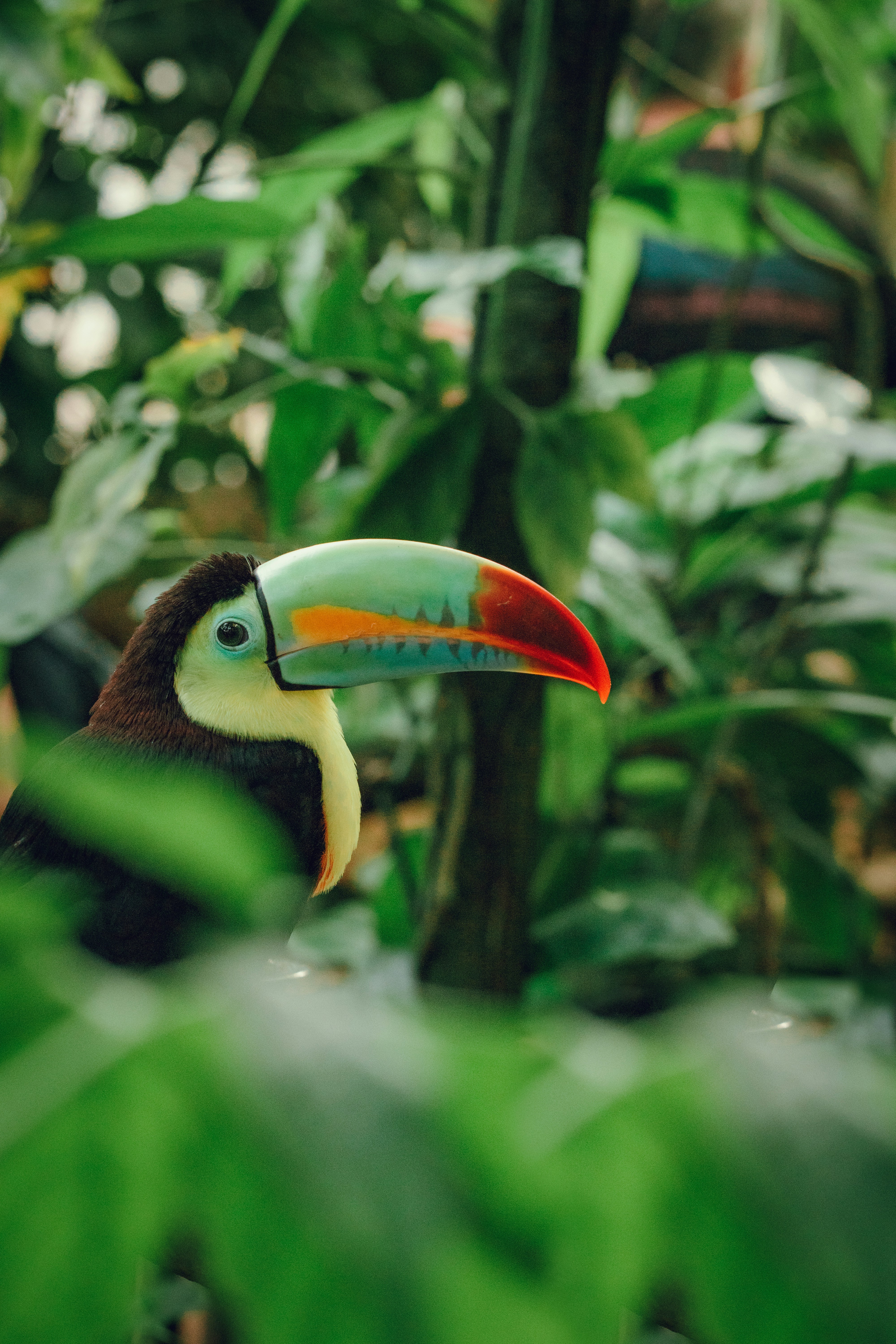 Photo by benaja_photos