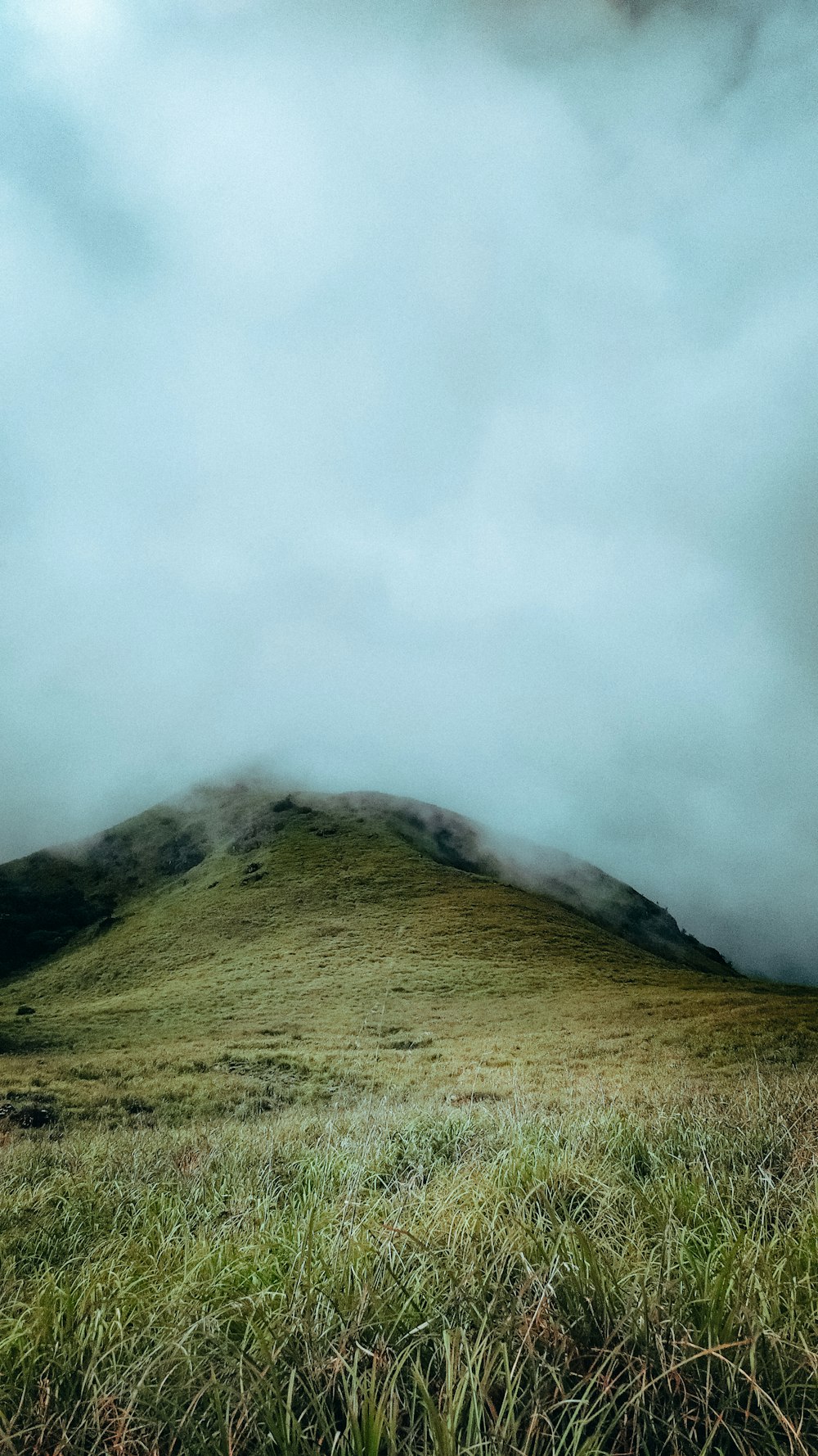 a grassy hill with a foggy sky