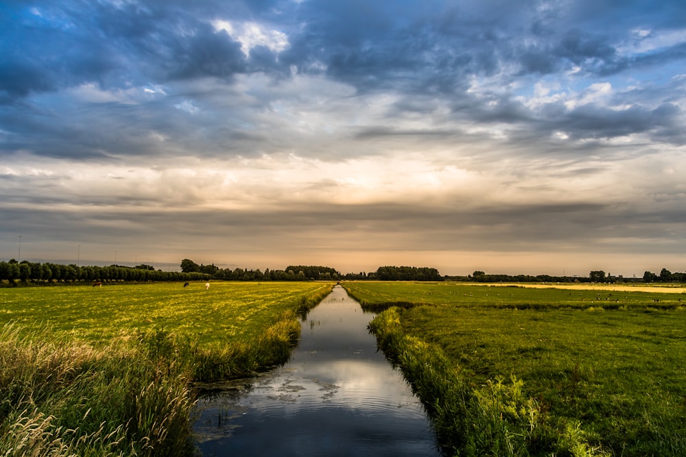 a stream of water in a field