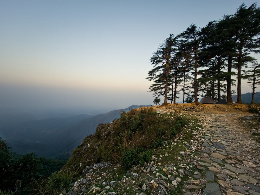a rocky hillside with trees and fog