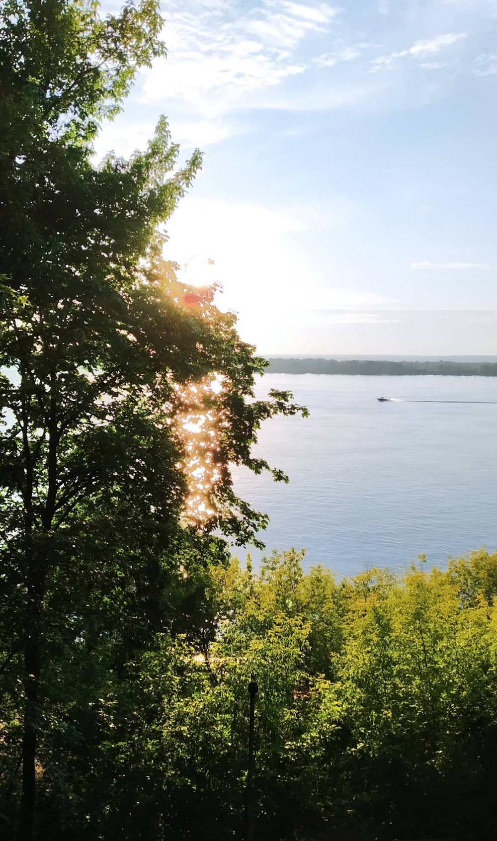 a body of water with trees around it