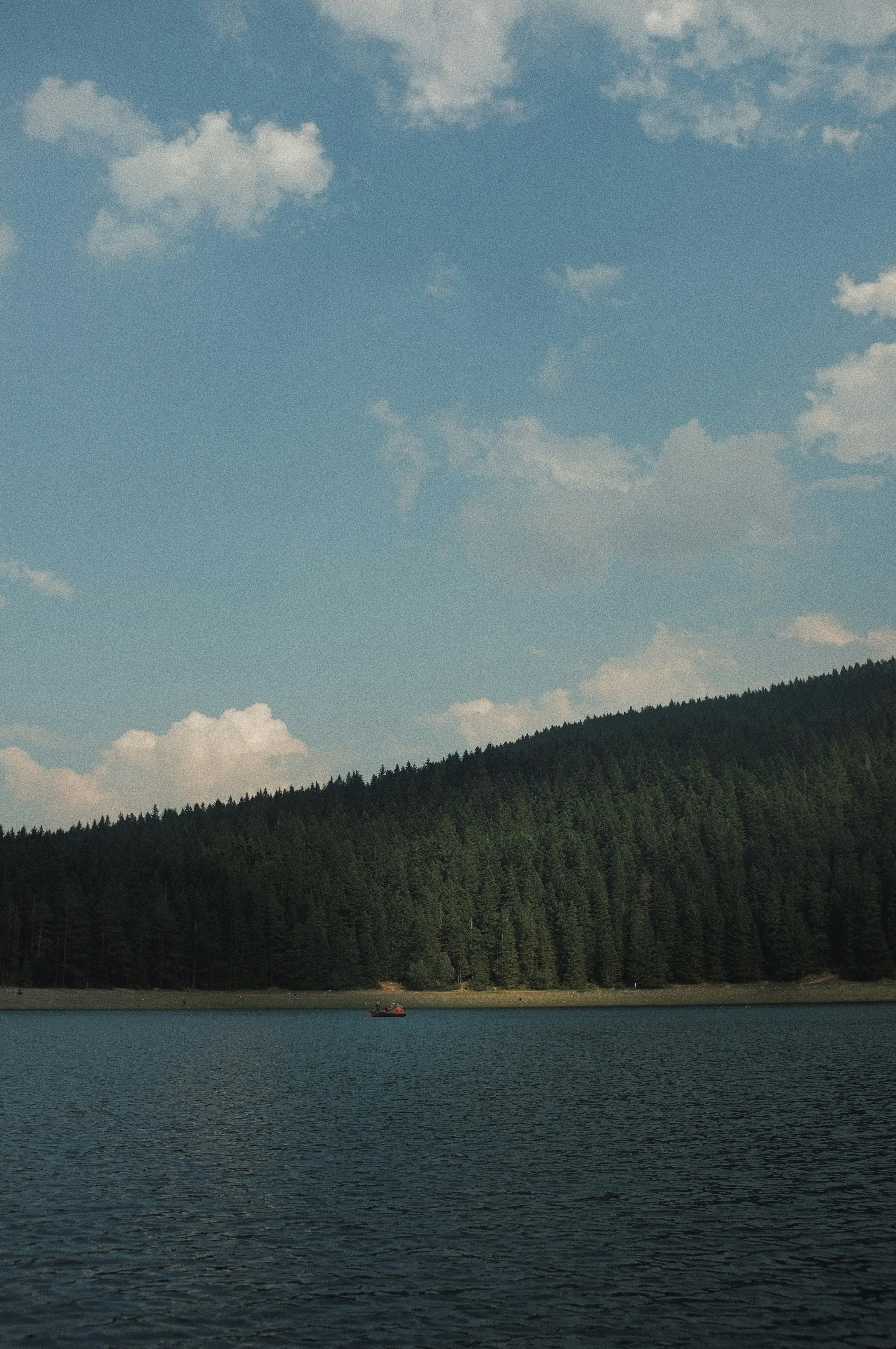 a body of water with trees and a blue sky above
