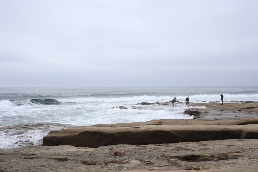 people on a beach