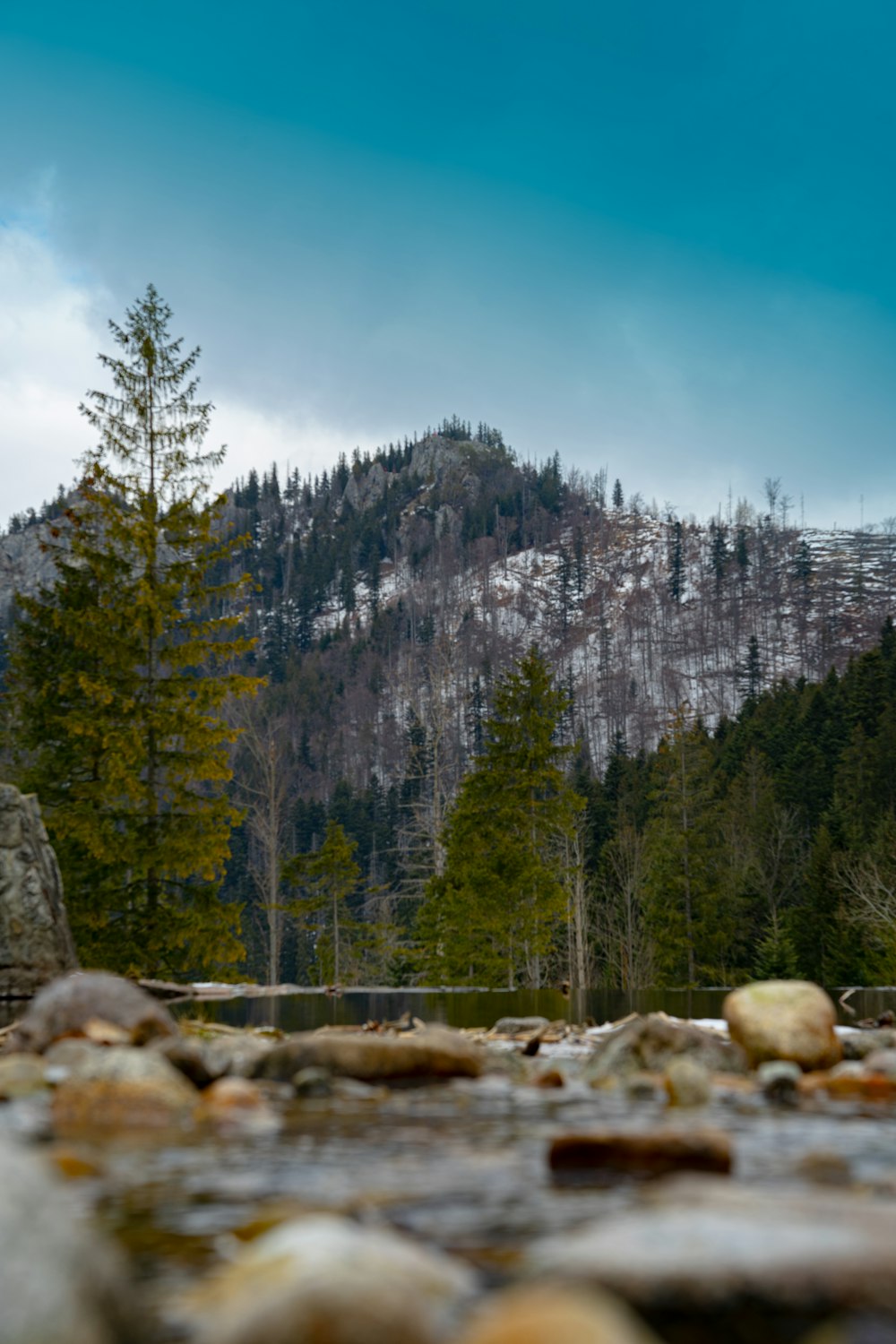 a river with trees and rocks by it and a mountain in the background