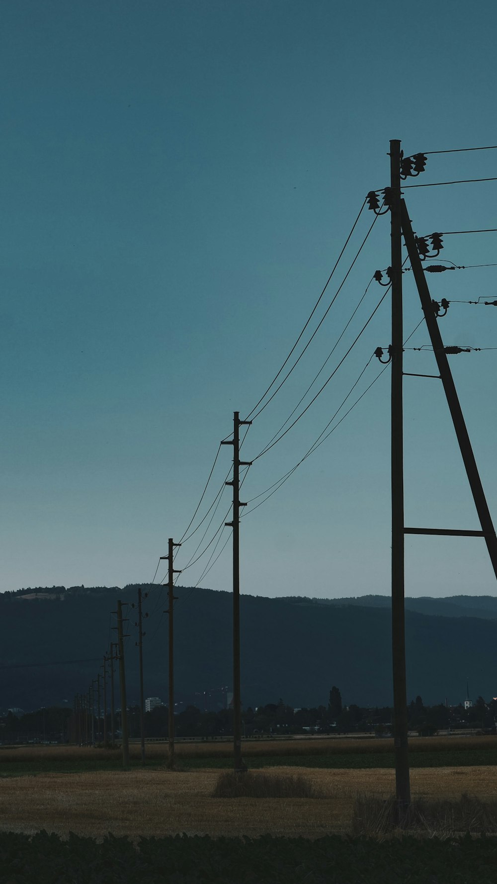 a group of telephone poles