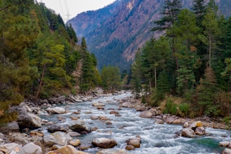 a river running through a forest in Kasol