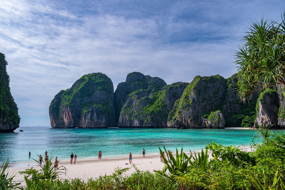 people on a beach