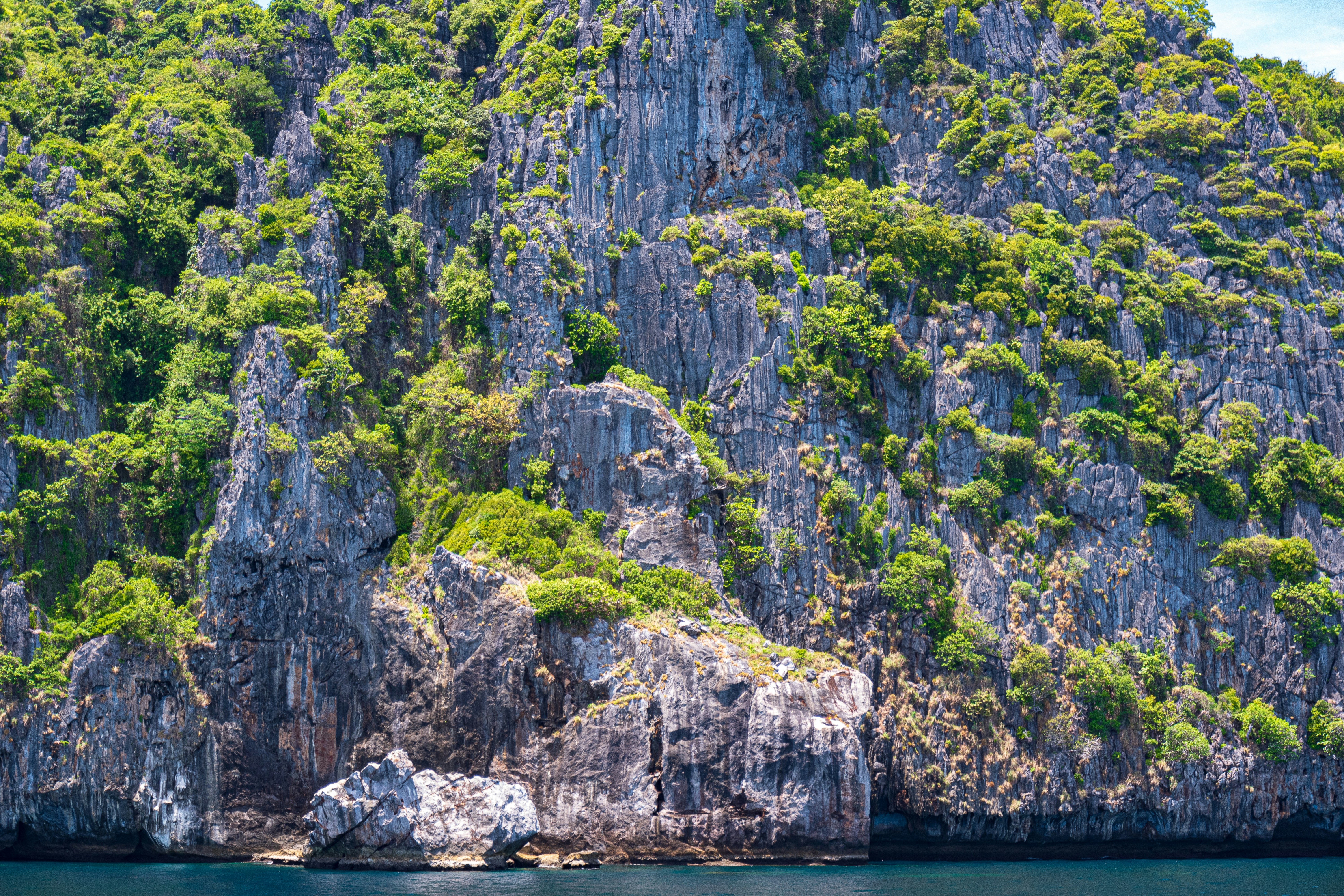 a rocky cliff with trees on it