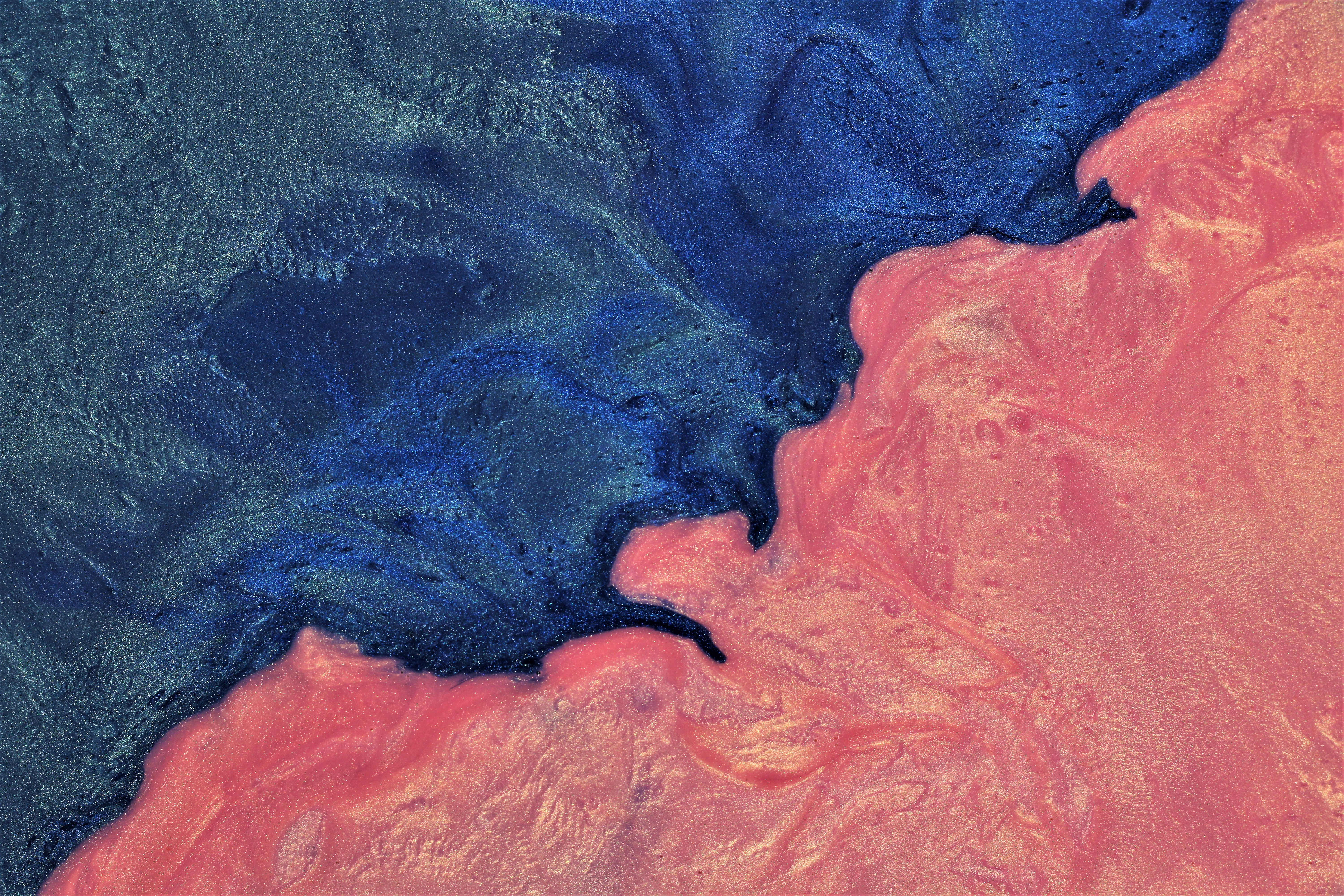 Photo by susan_wilkinson