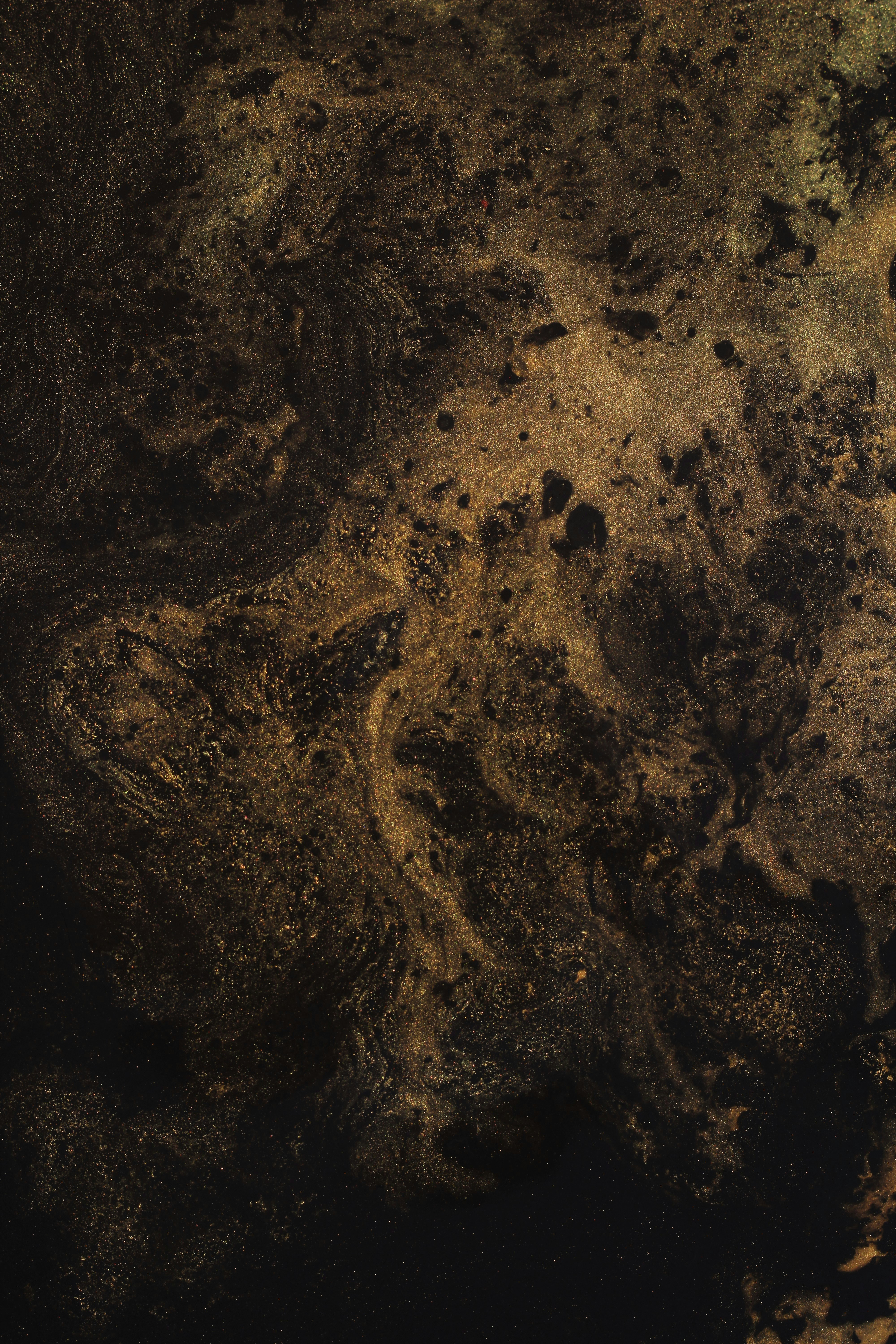 Photo by susan_wilkinson