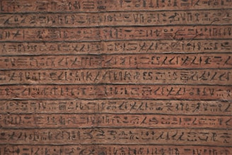 A detailed close-up of ancient hieroglyphs carved into the walls of a tomb in Asasif.