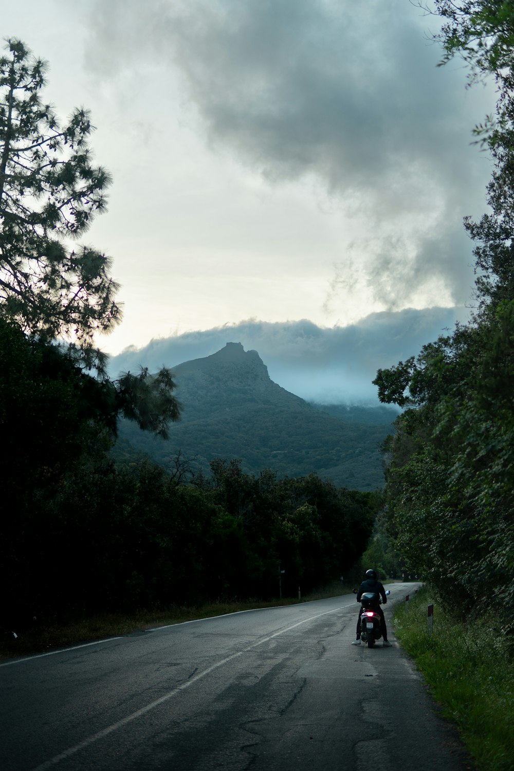 a person riding a motorcycle on a road with trees and mountains in the background