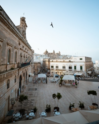 a bird flying over a courtyard