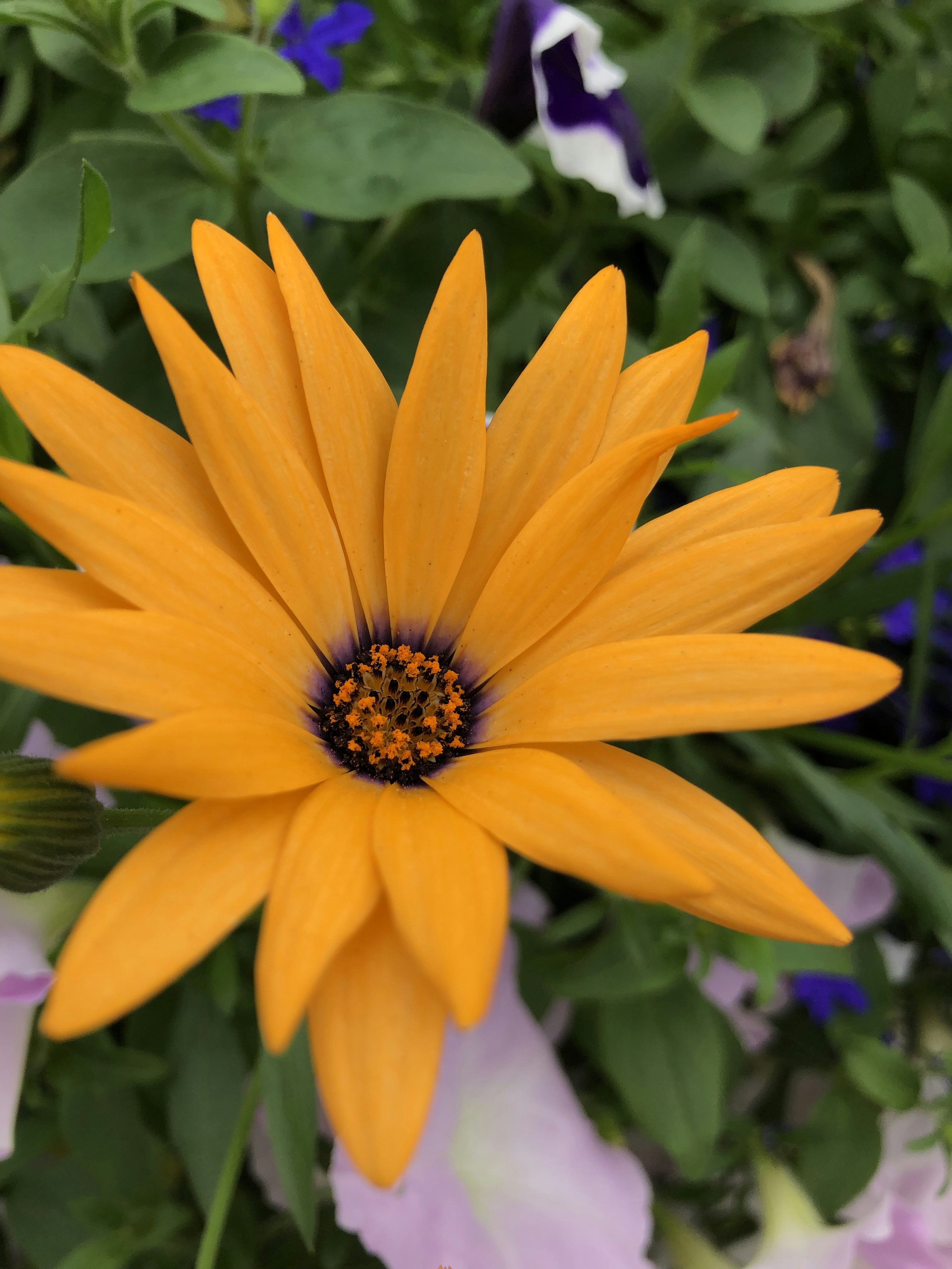 Photo by liberatetheimage