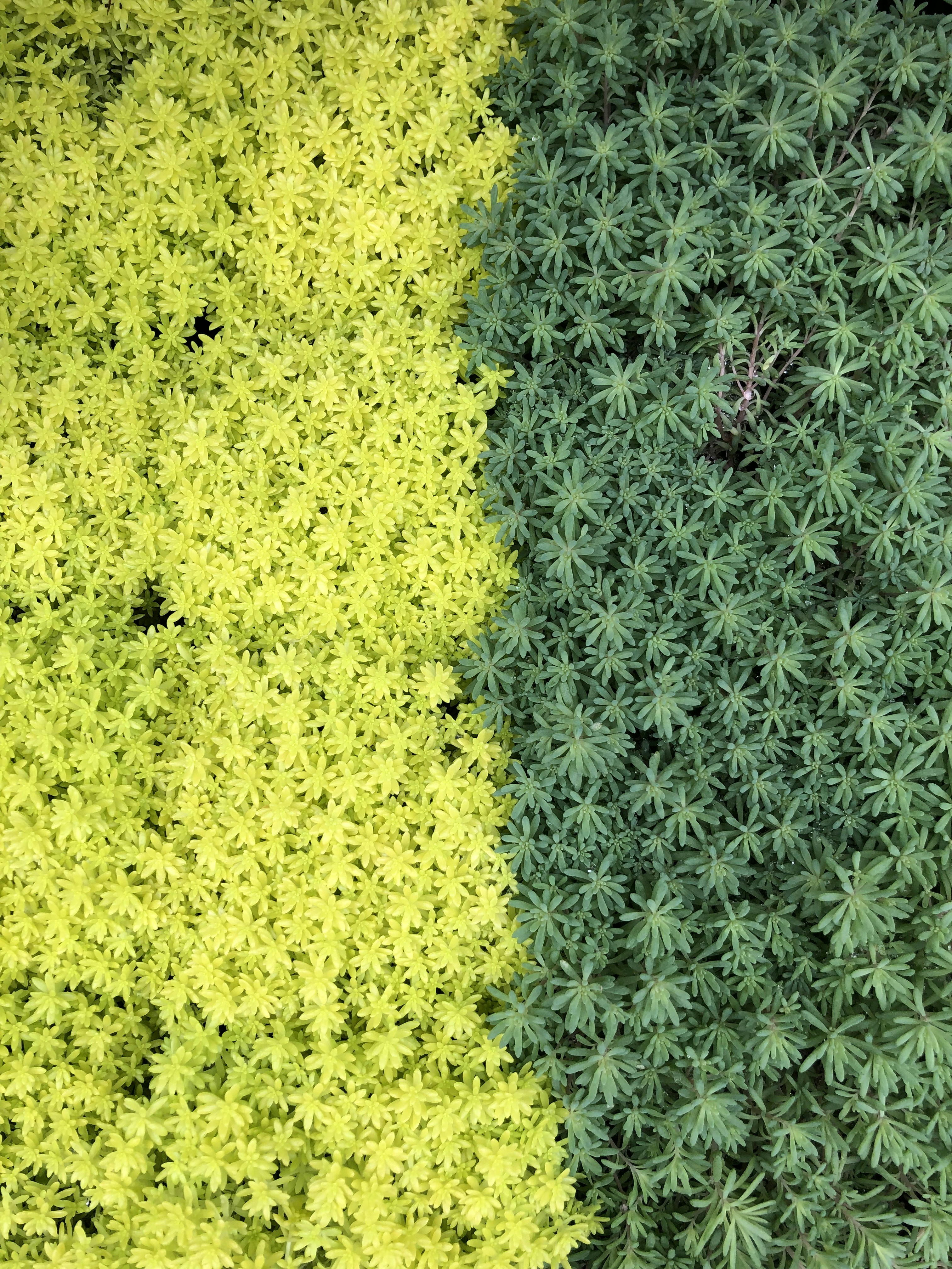 Photo by liberatetheimage