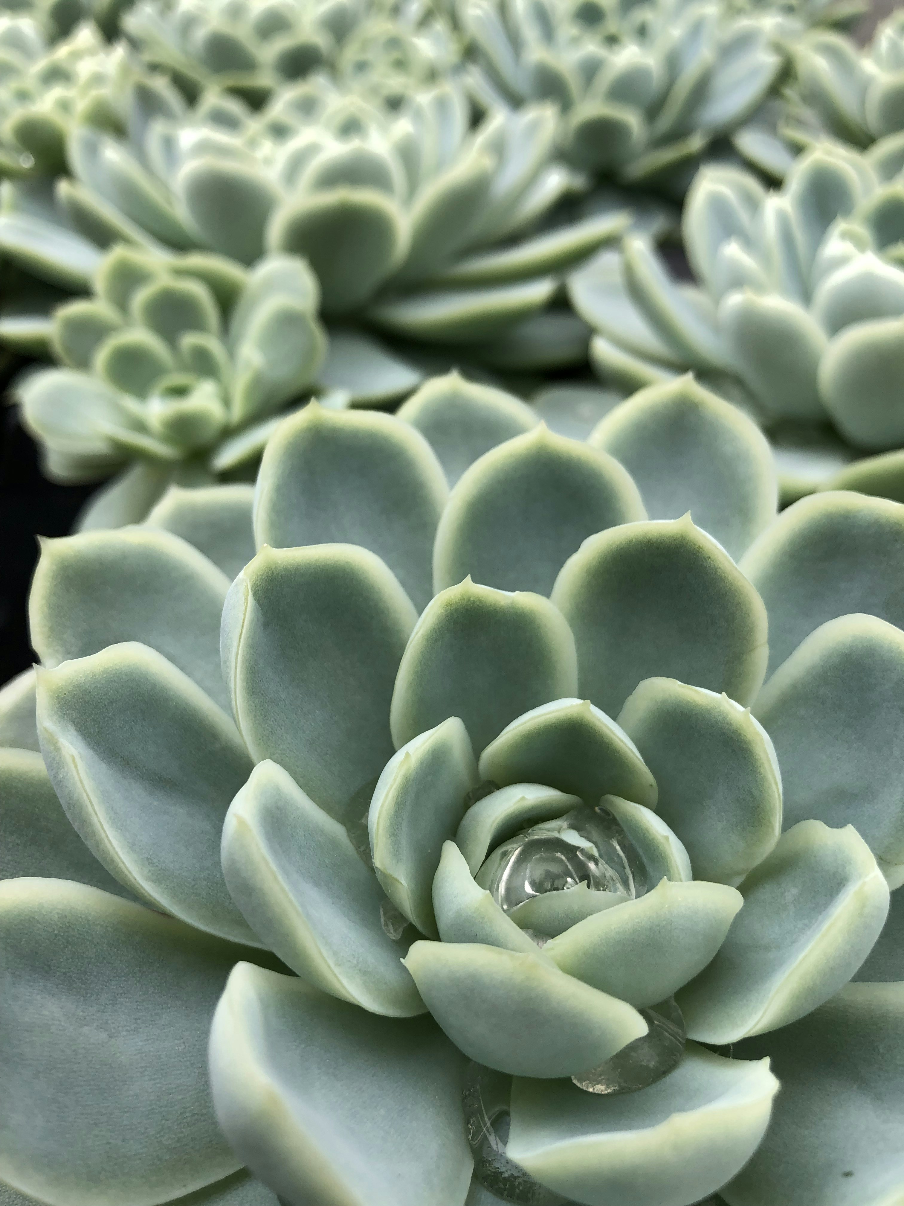 Photo by liberatetheimage