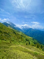 a grassy valley with trees and mountains in the background
